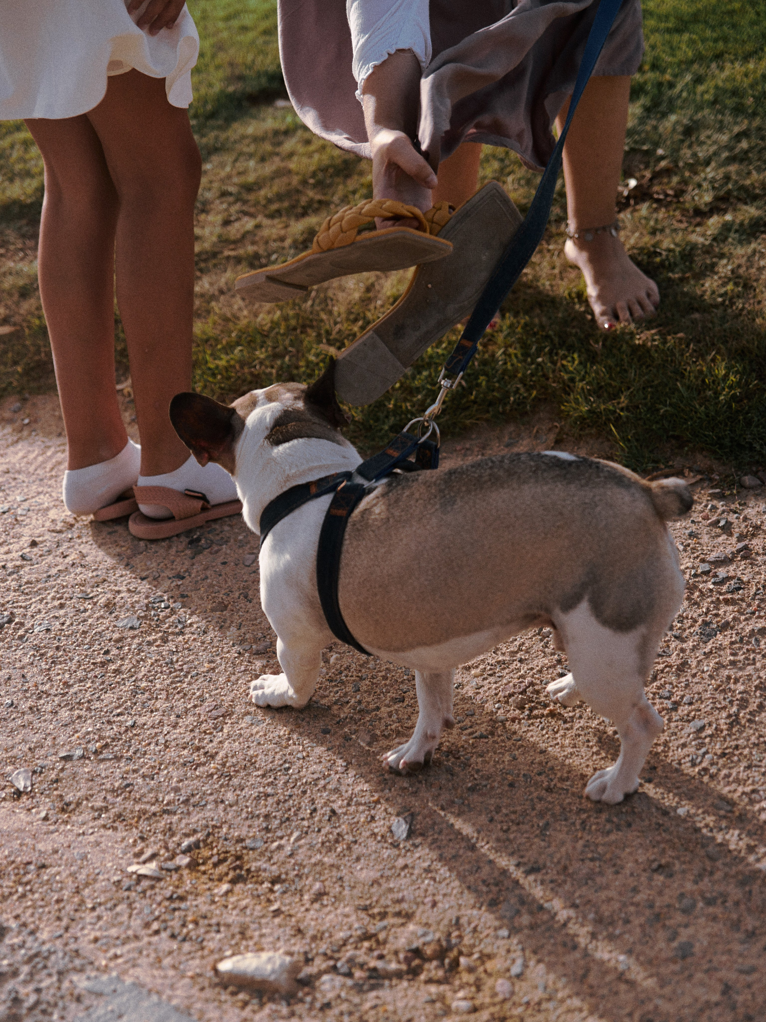 Позы для семейных и групповых съёмок. Jorgis Talè — photographer, kind person, teacher of arts and other mag