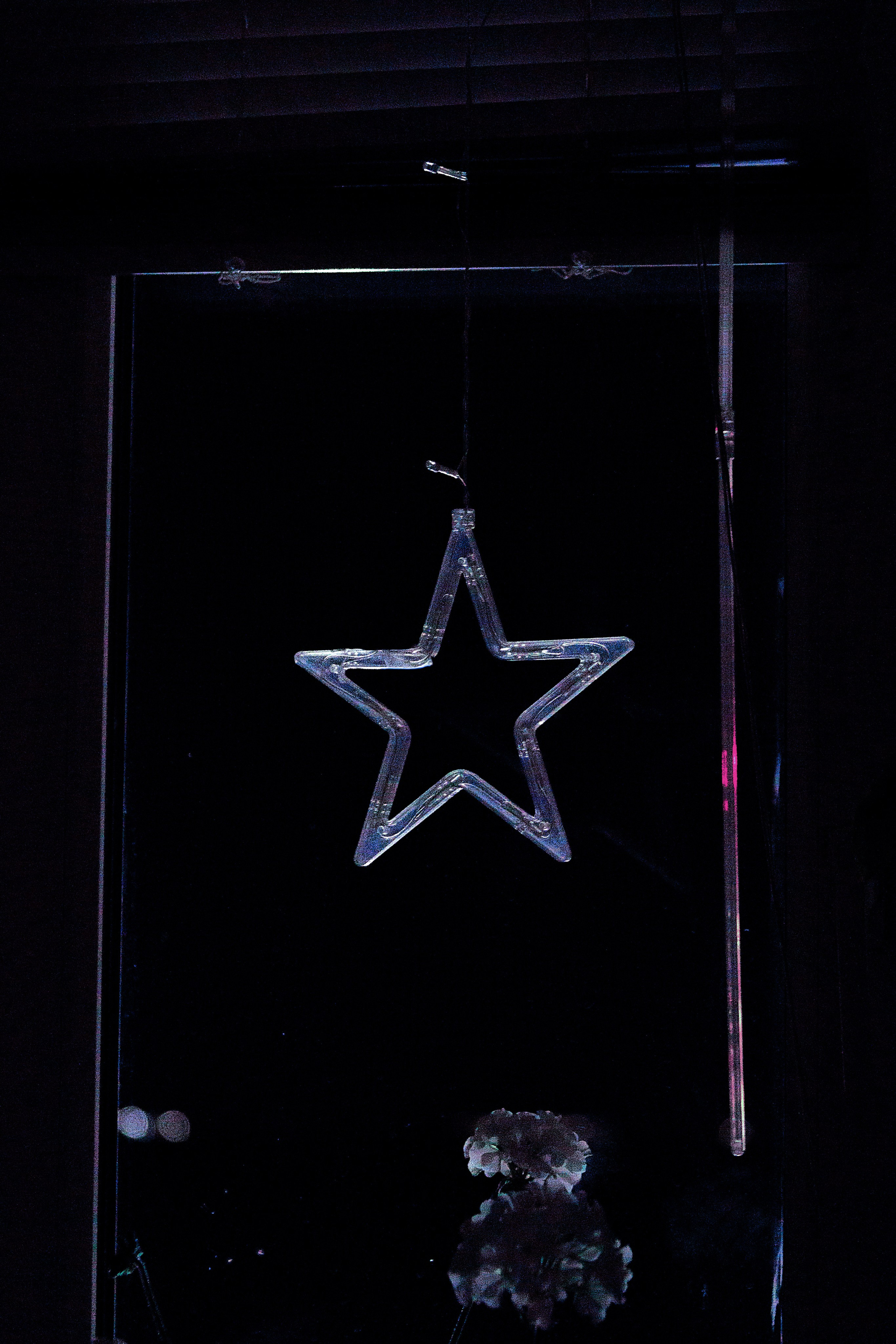 Проект «366»|2024|Фото каждый день. LENA GRACE photographer ||ЛЕНА ГРЭЙС фотограф