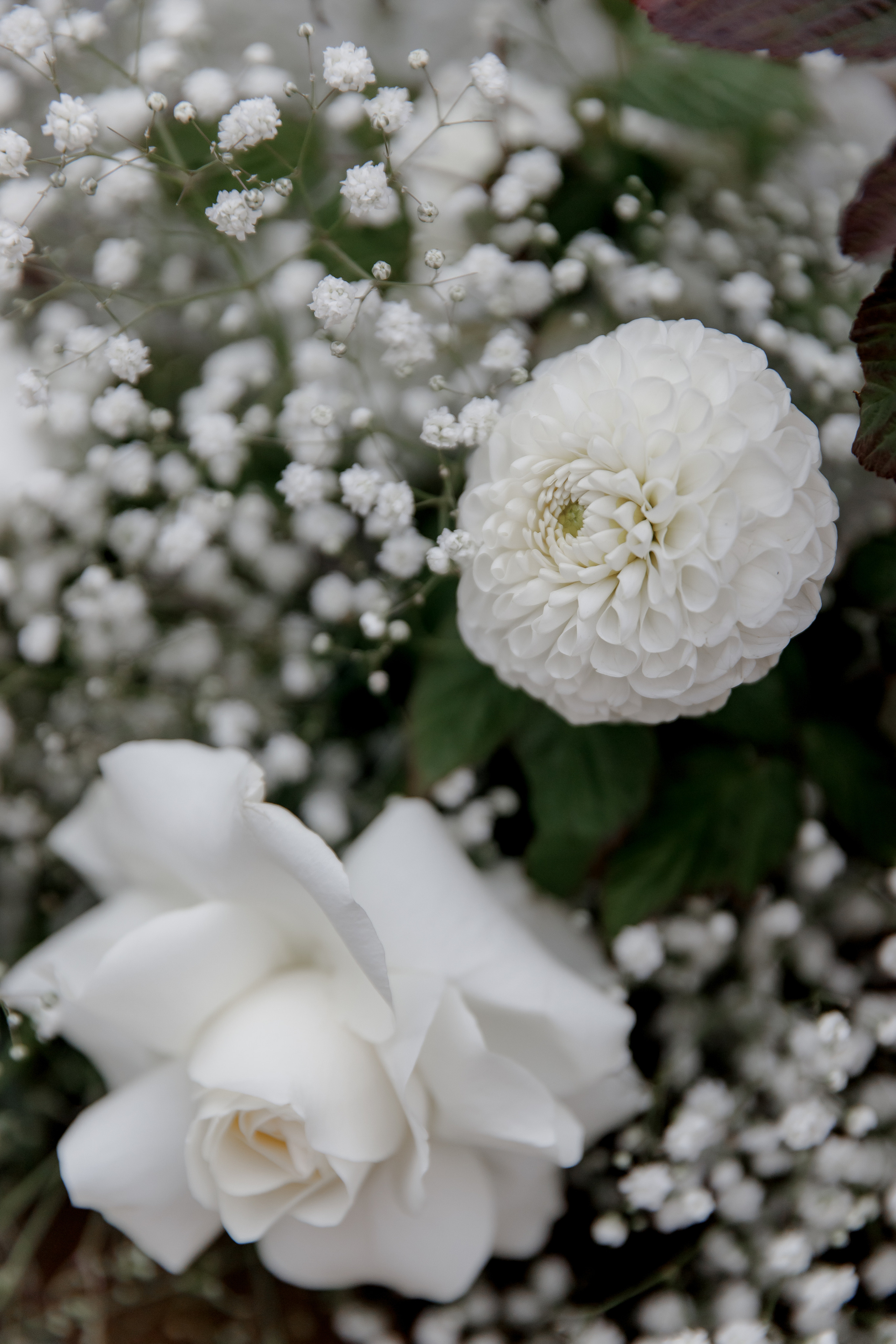 Сергей и Валерия W 27.08.21. Свадебный фотограф в Москве и по всему миру