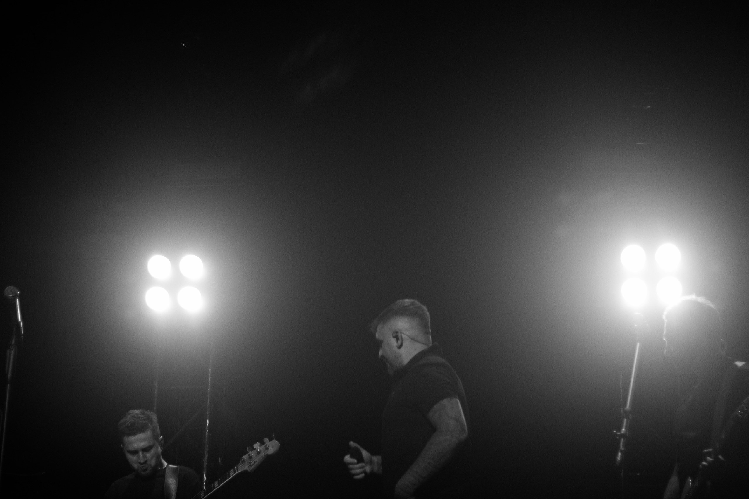 Звезды в объективе. Фотограф Евгения Рай