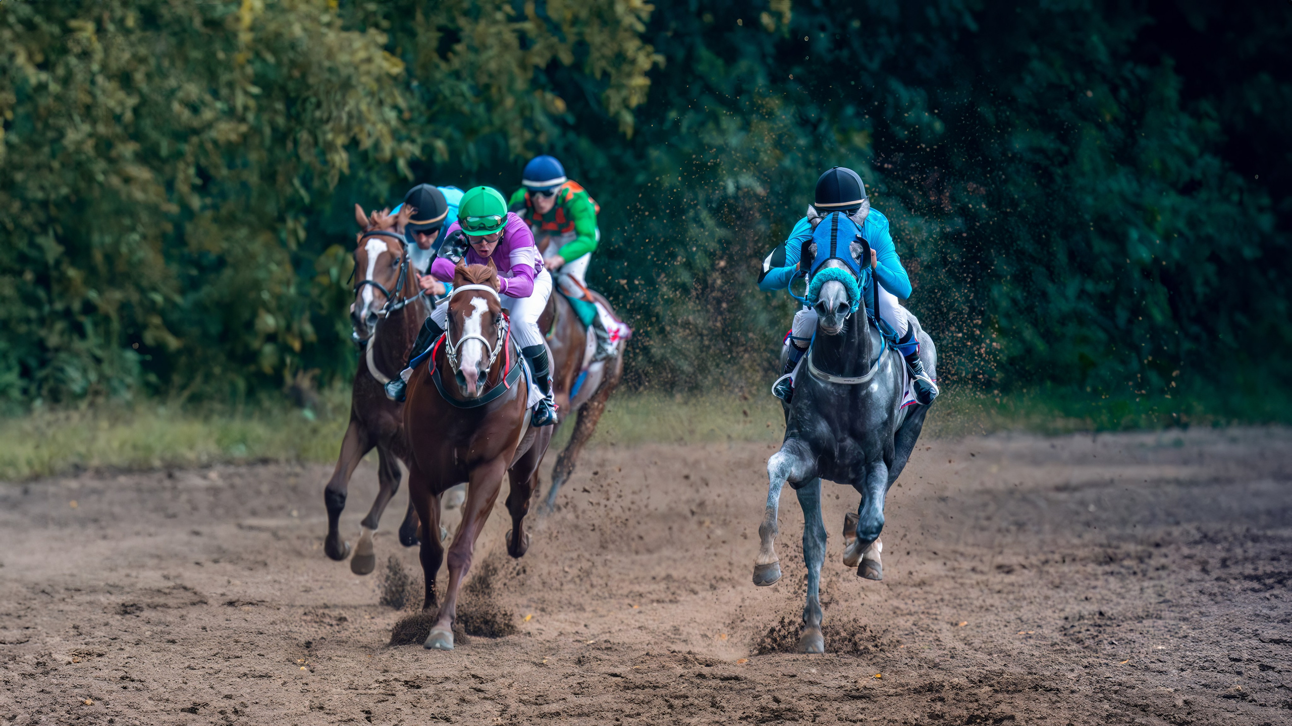 Илья Котельников. Авто, мото, вело и другое фото