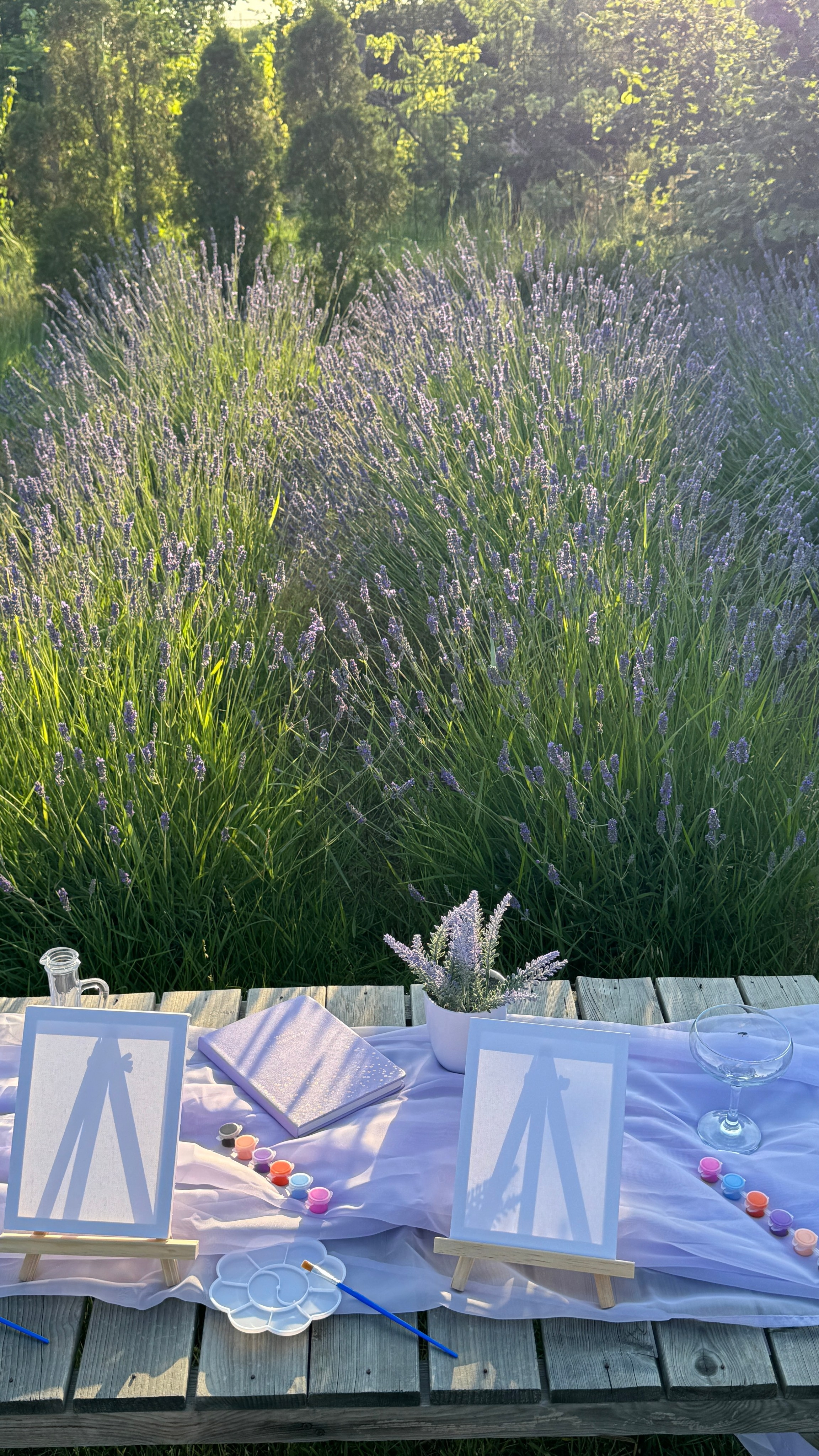 Лаванда. Фотостудия Натальи Забродской