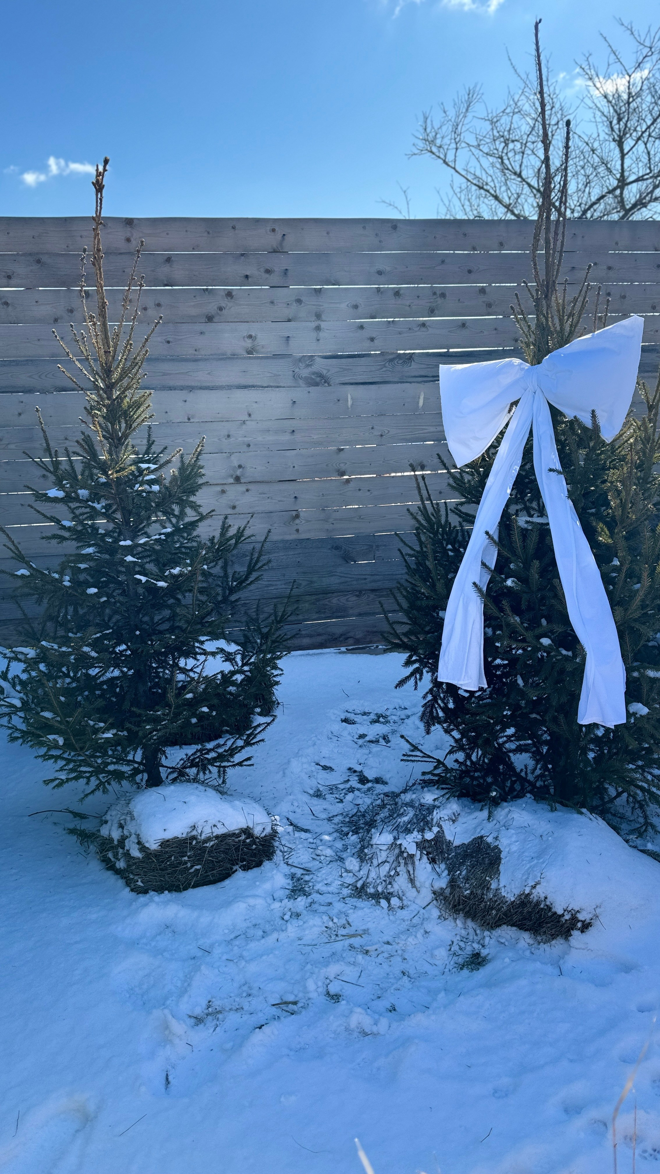 Зима. Фотостудия Натальи Забродской