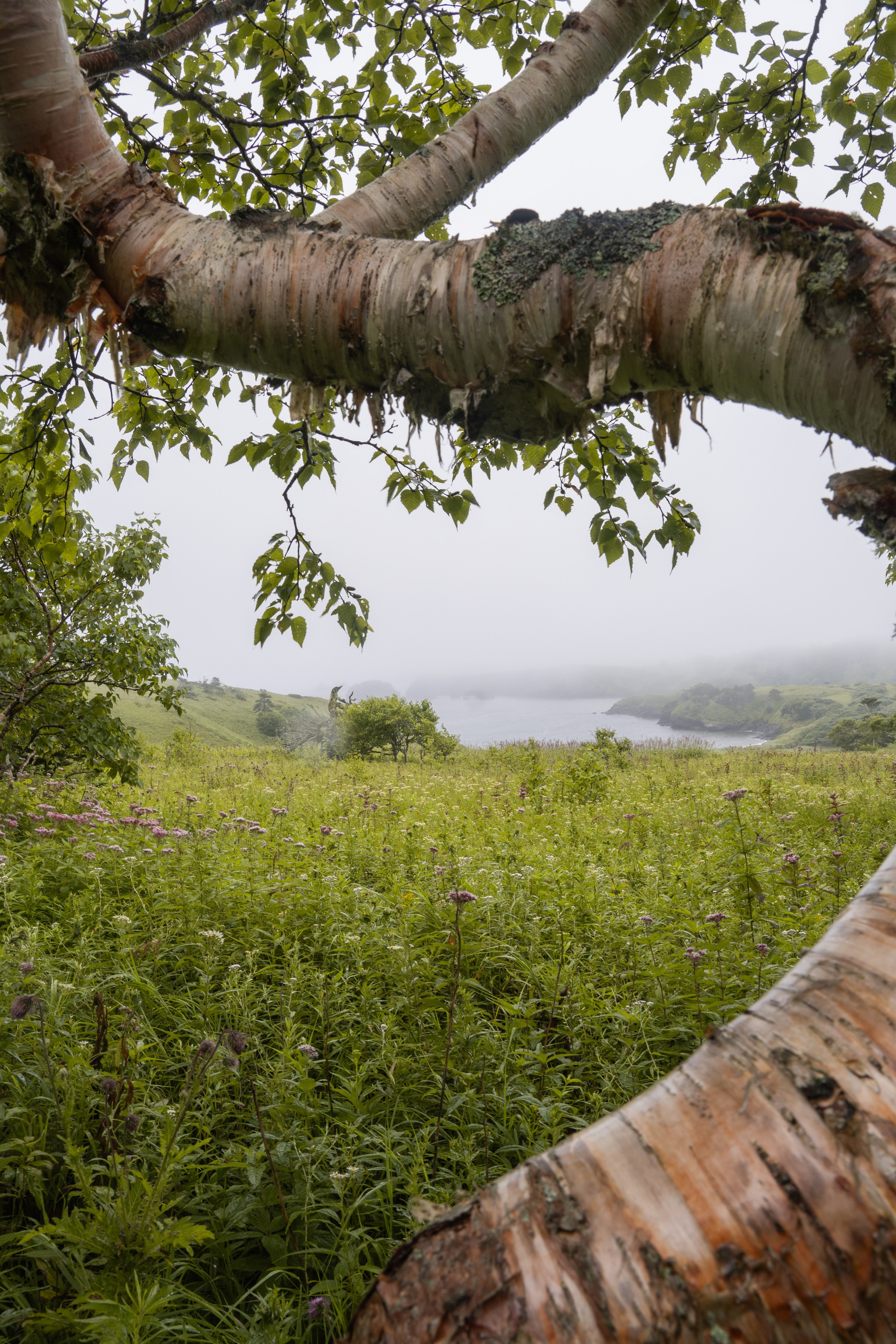Курильские острова. Gusarov Travel Photography