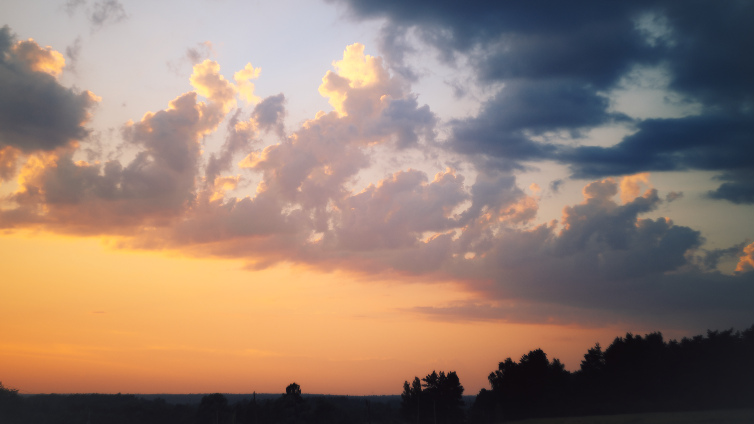 Небо видело всё. Komonev