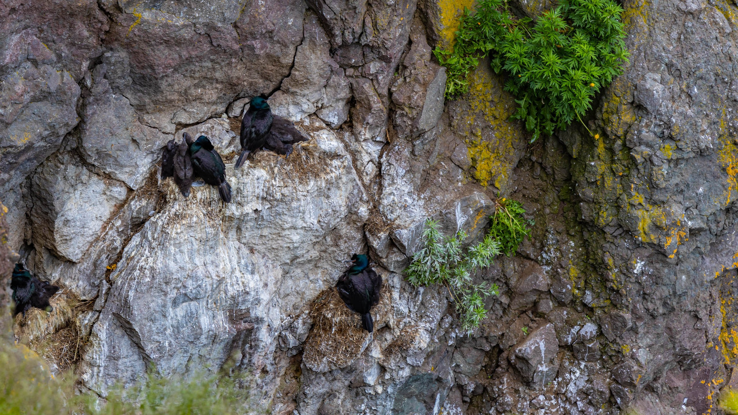 2023 07 Камчатка. Фотографии