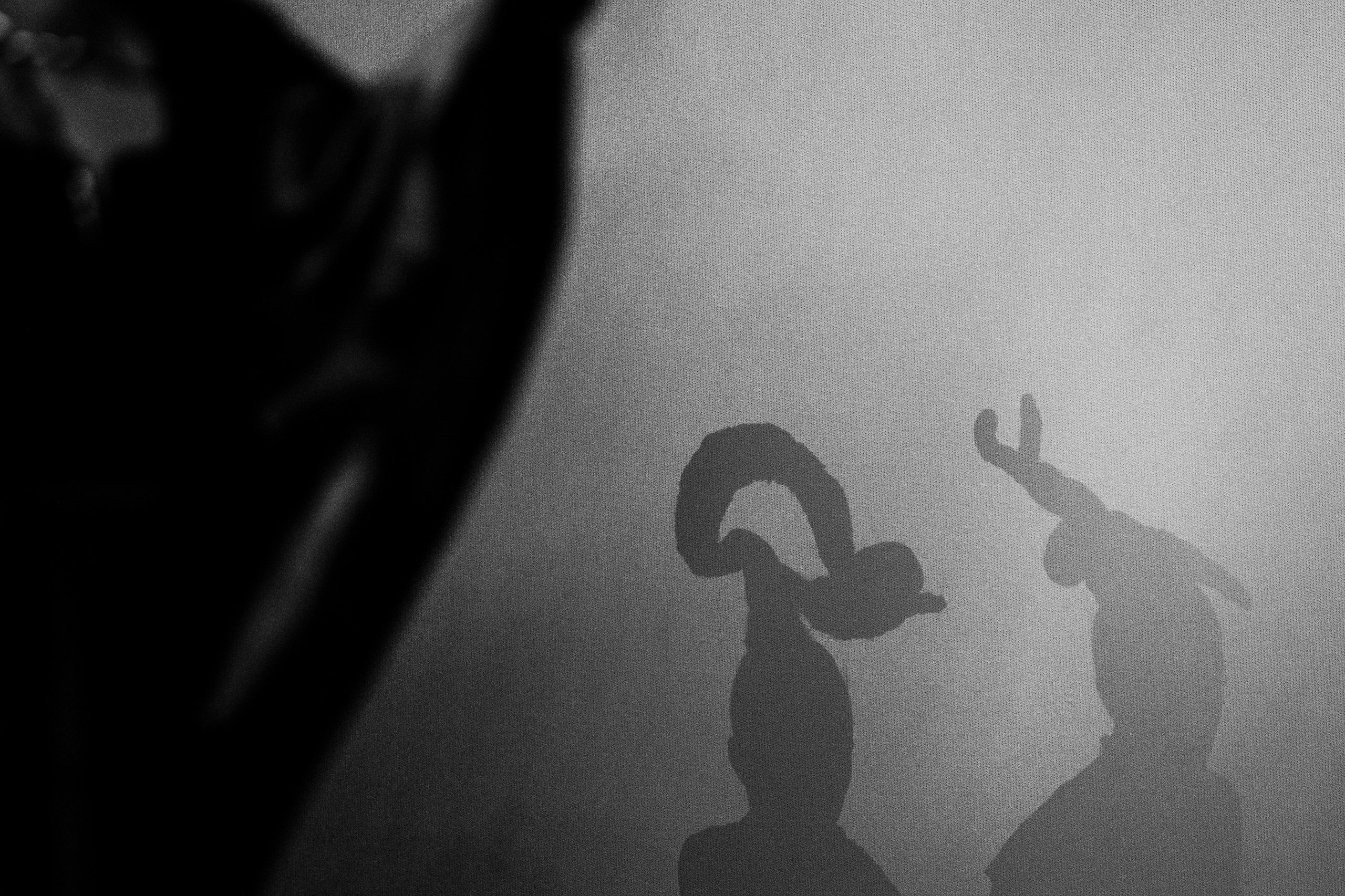 ФЭШН КОНФА. СВОИ. ФОТООТЧЕТЫ-СОБЫТИЯ-МЕСТА