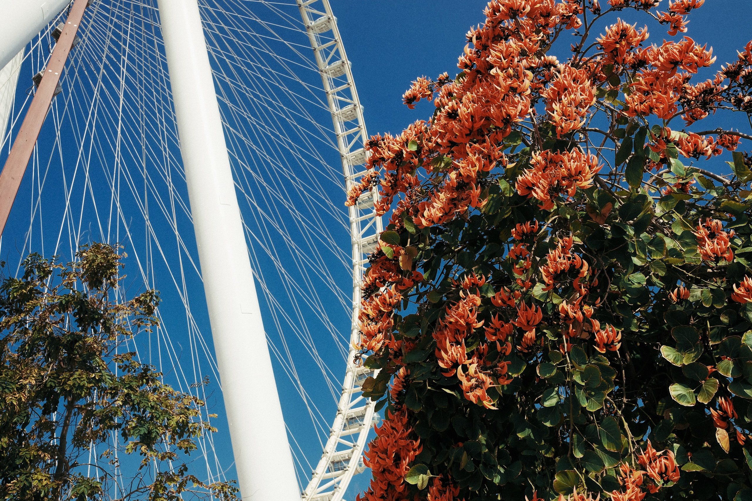 Blue Waters. Персональный фотограф Москва Кислякова Алина. Фотограф в Дубае, ОАЭ