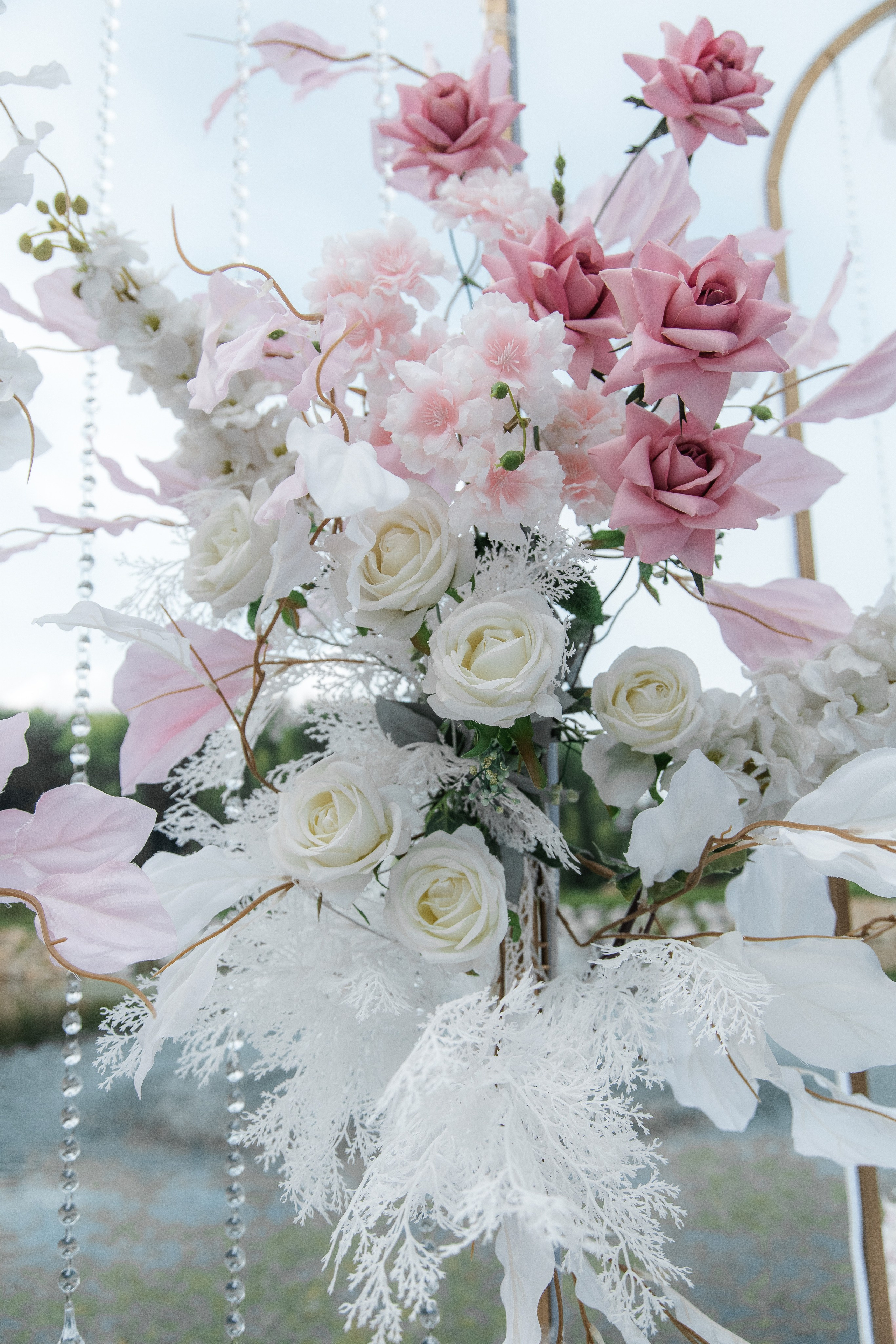 D & J. Street photographer