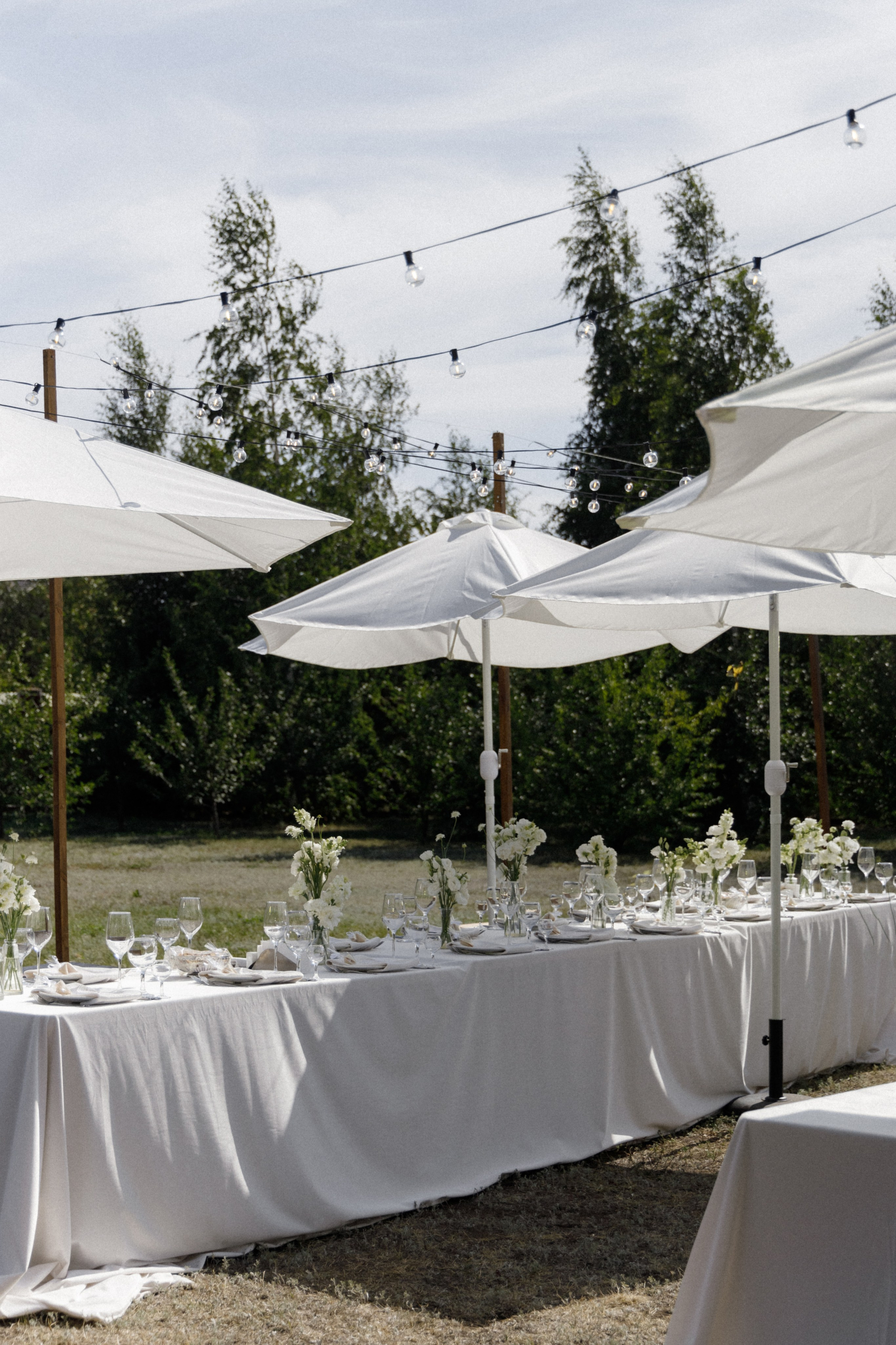 Станислав и Анастасия. Свадебный организатор в Тольятти | Самаре