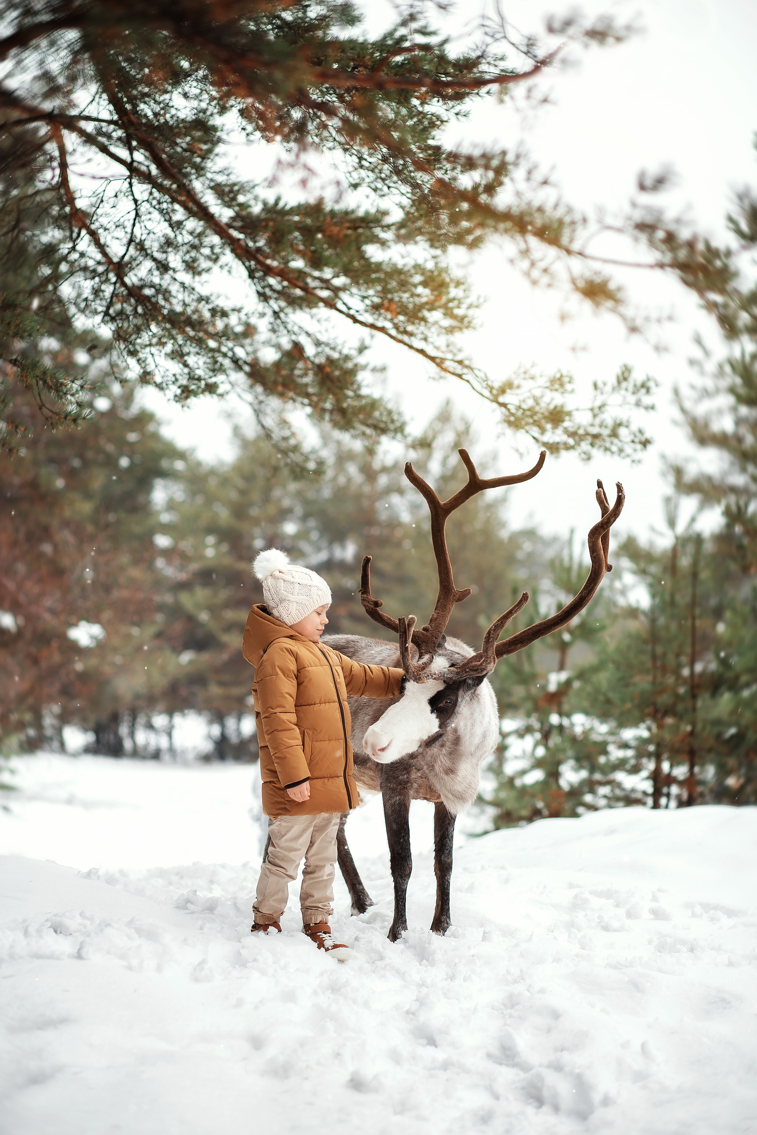 Съёмки с оленем. Фотограф беременности и семейный фотограф в Нижнем Новгороде Мила Шелест