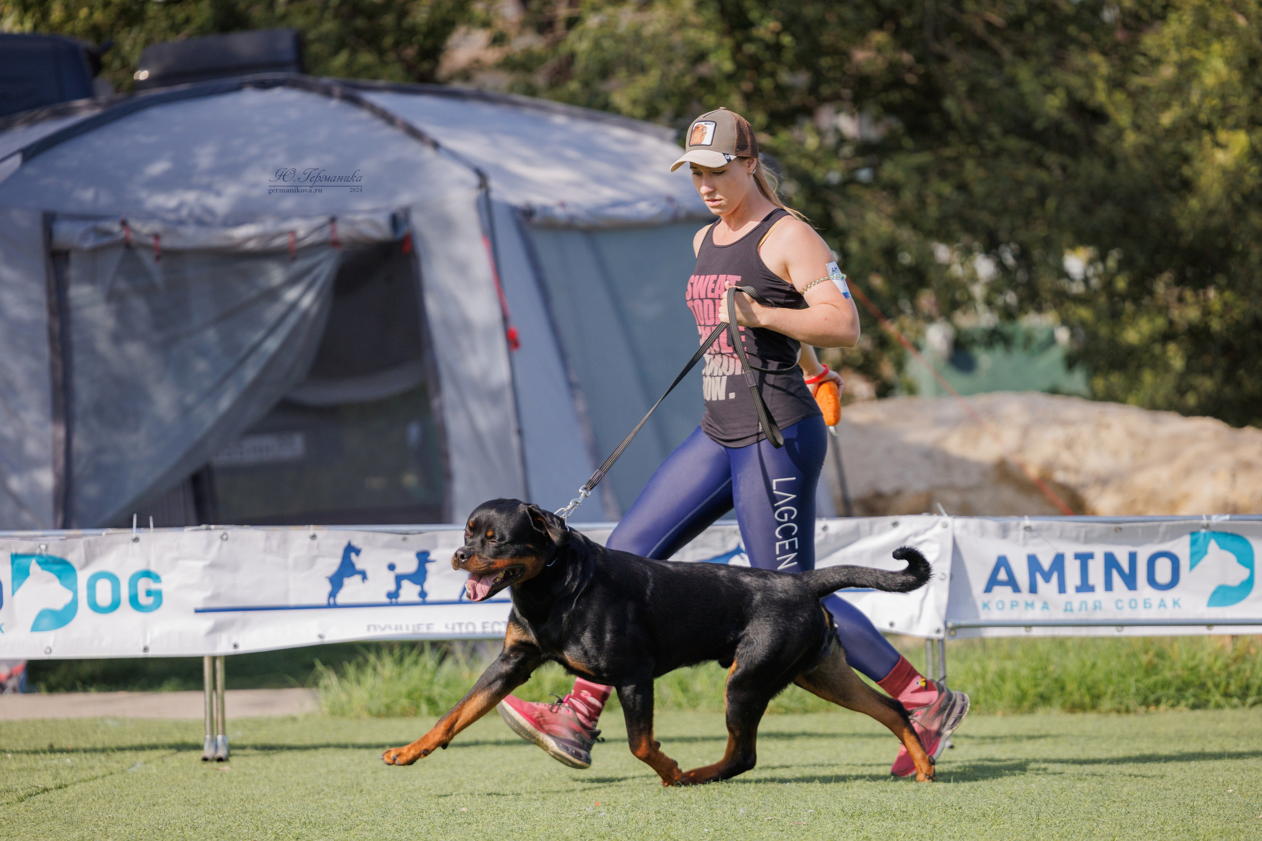 Анапа ротвейлеры 14-15.09.2024. Фотограф-анималист Юлия Германика