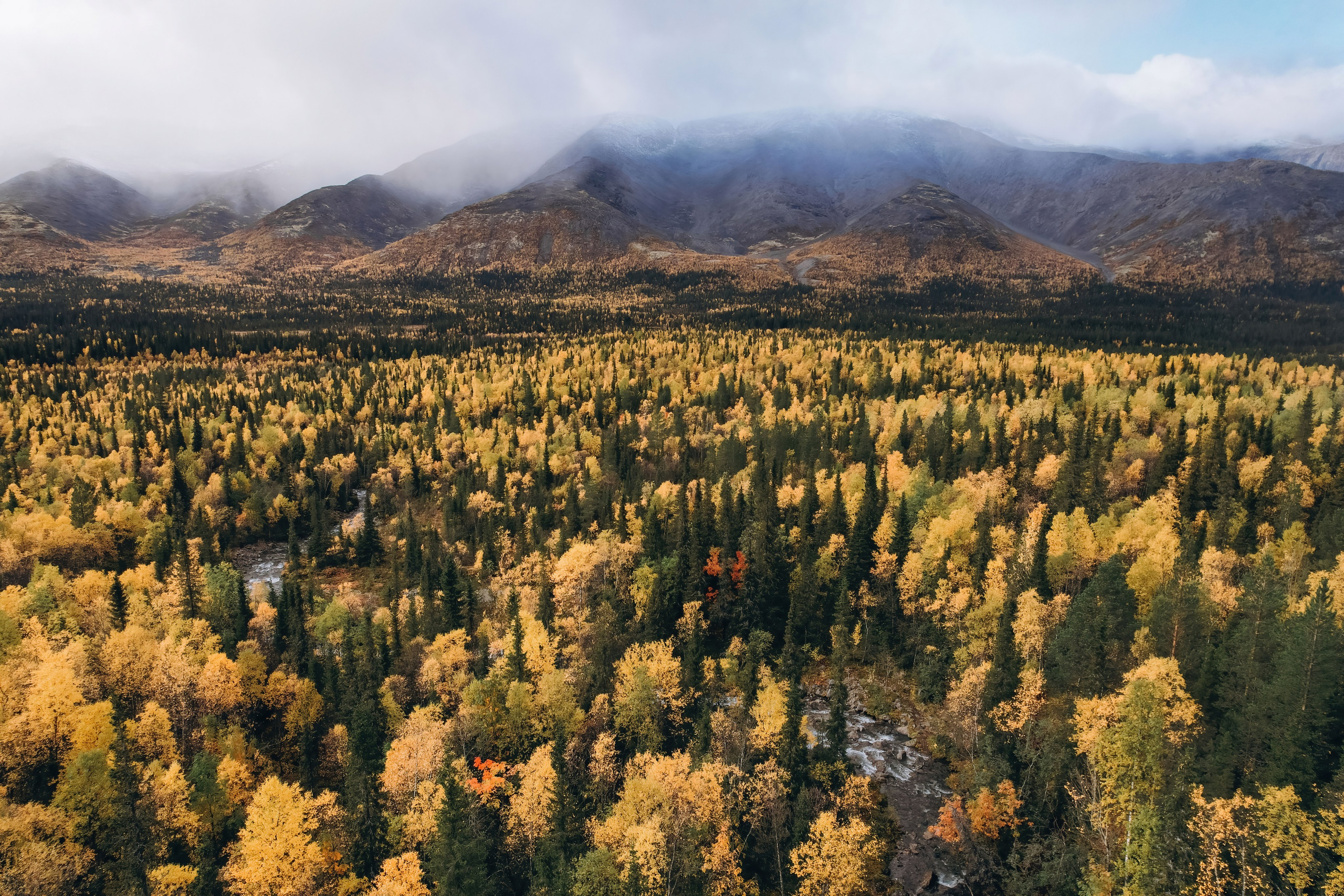 СЕВЕР. Event фотограф Степанова Александра