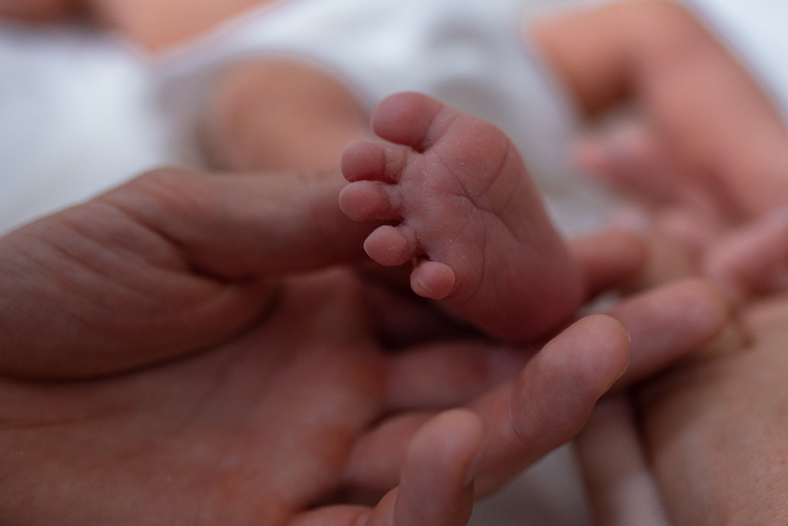 Домашняя съёмка новорожденного. Семейный фотограф в Ростове-на-Дону Мария Панарина