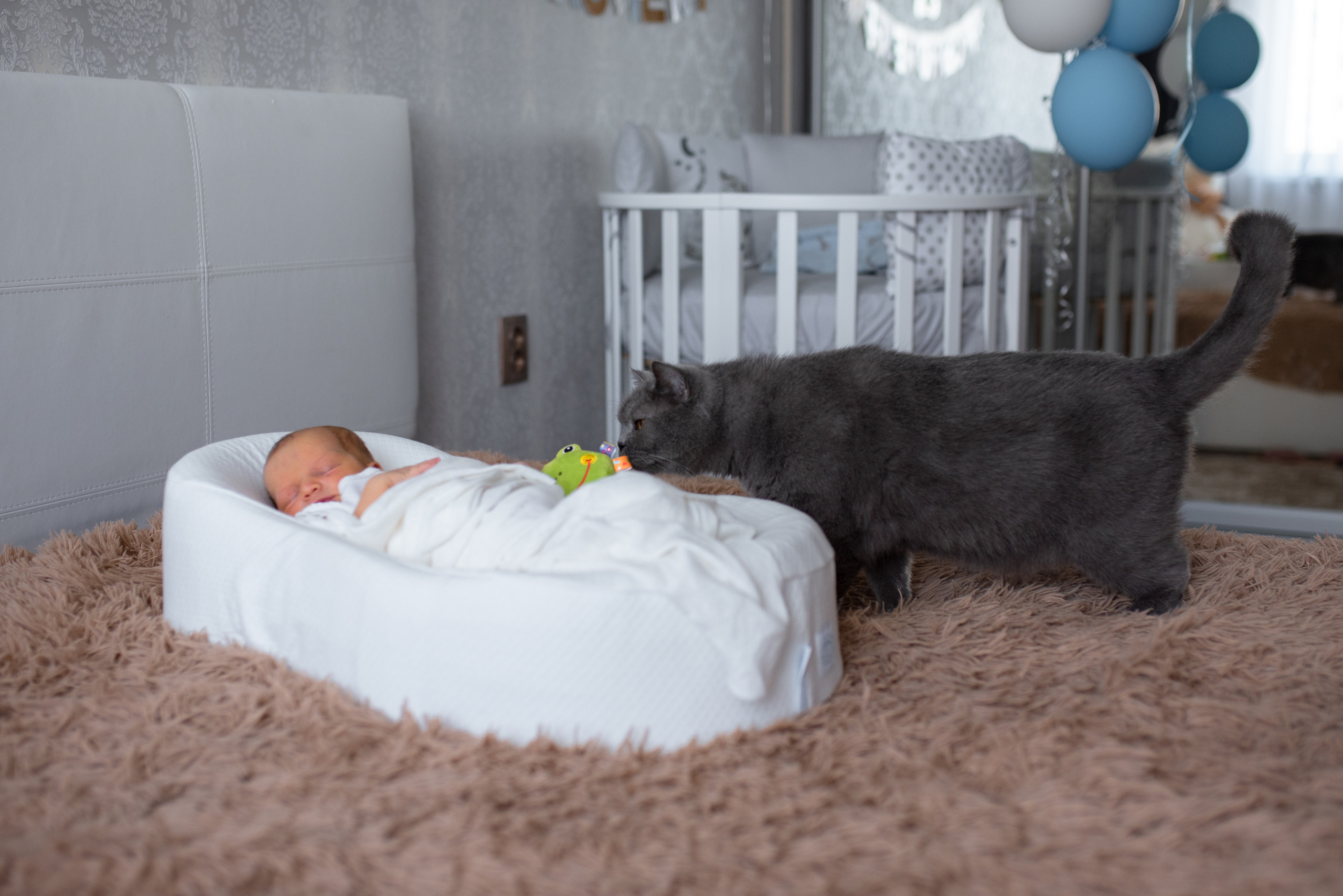 Домашняя съёмка новорожденного. Семейный фотограф в Ростове-на-Дону Мария Панарина