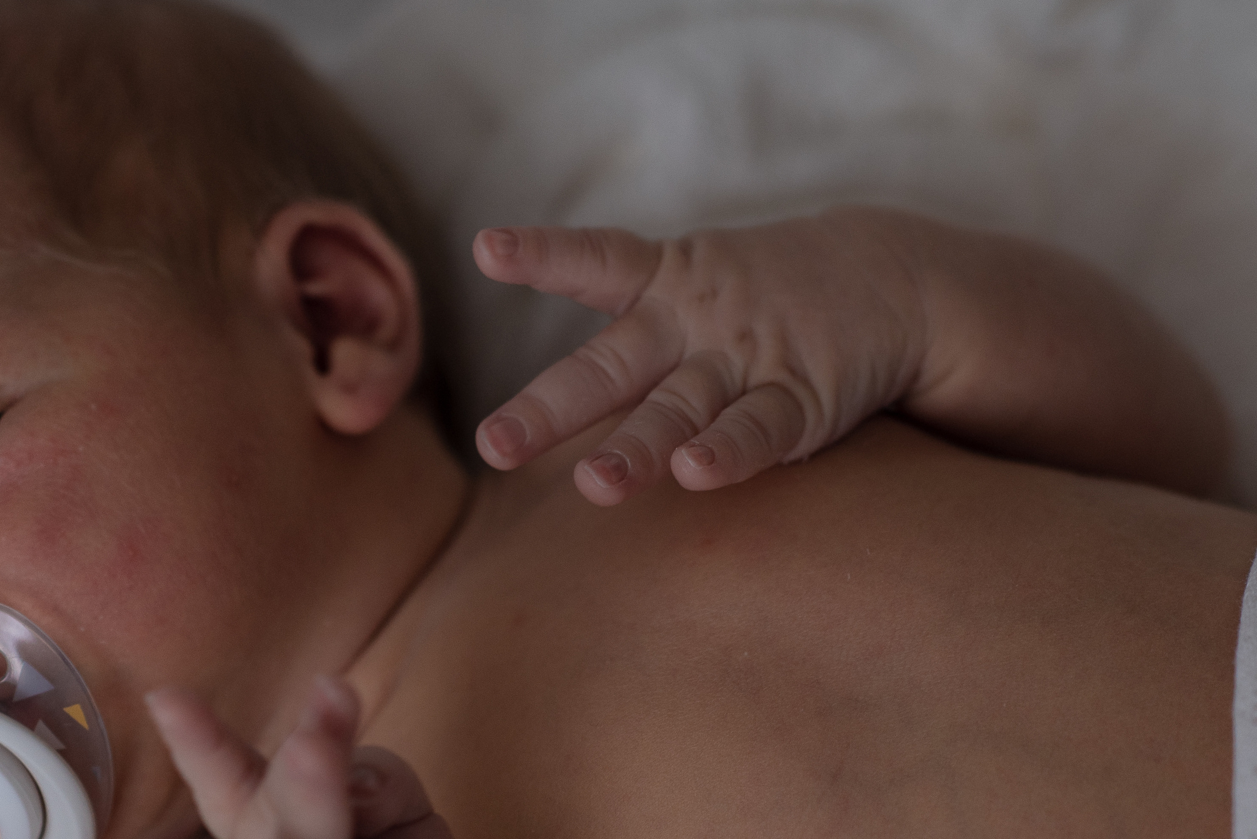 Домашняя съёмка новорожденного. Семейный фотограф в Ростове-на-Дону Мария Панарина