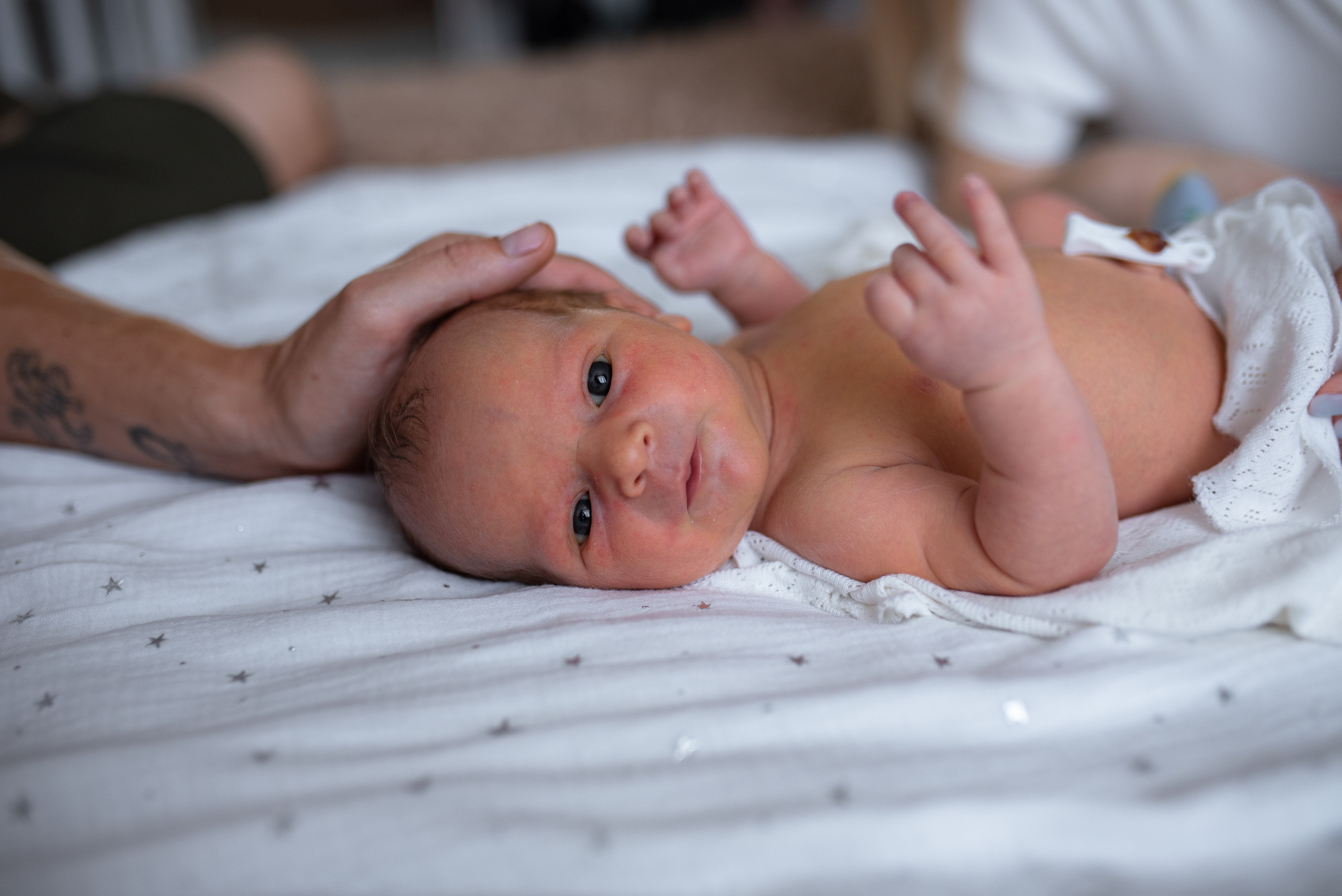 Домашняя съёмка новорожденного. Семейный фотограф в Ростове-на-Дону Мария Панарина