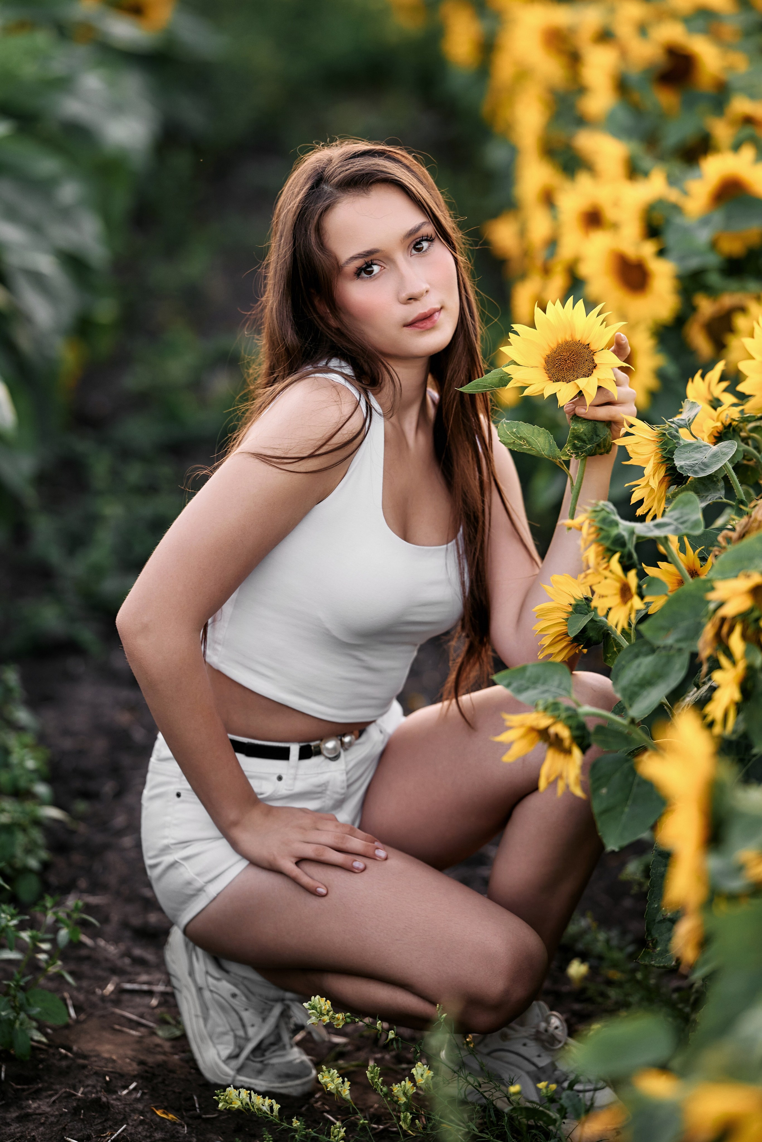 ПОДСОЛНУХИ. Фотограф Денис Кривопусков