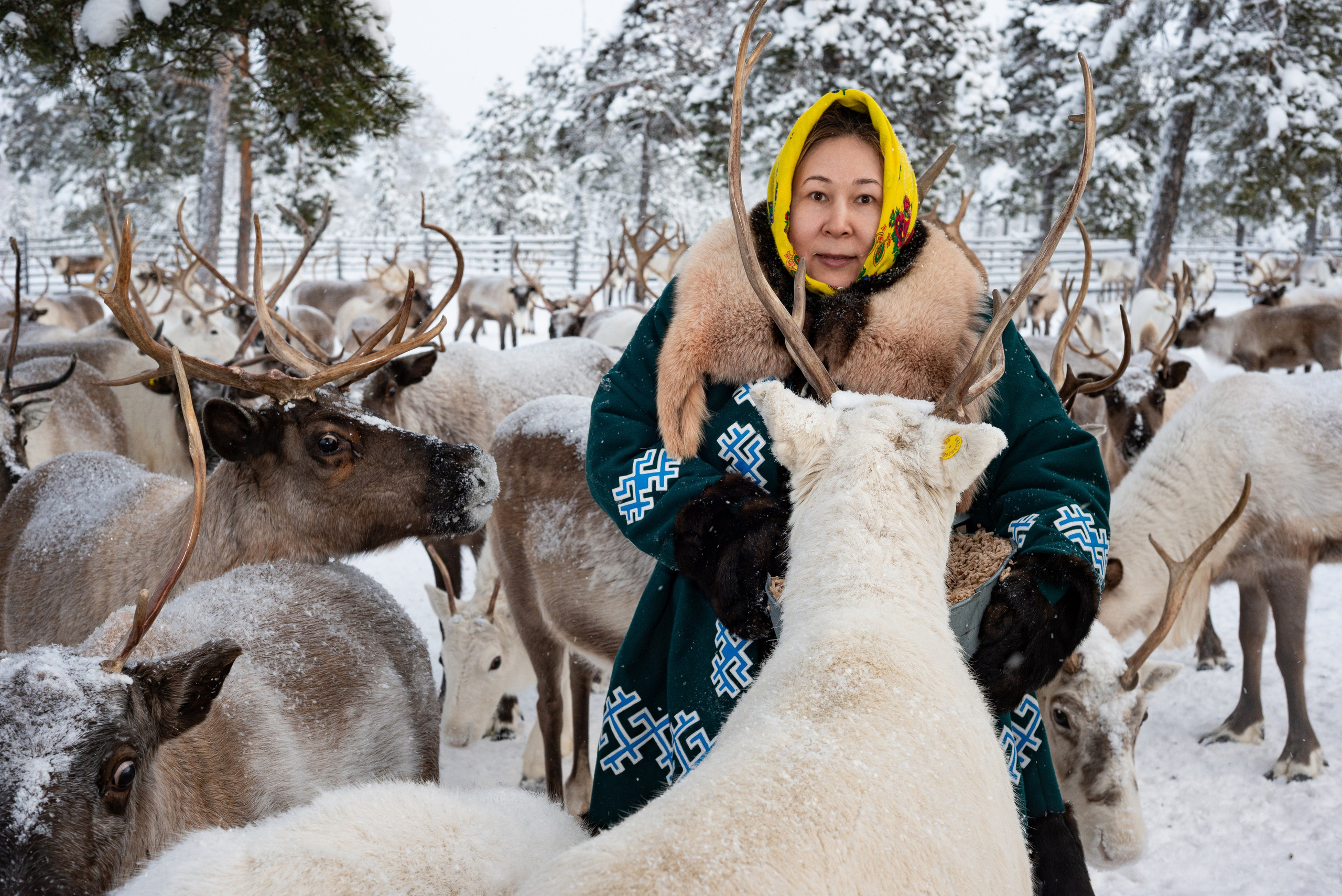 Ханты (коренные малочисленные народы Севера). Фотография — это миг, который фиксирует вечность