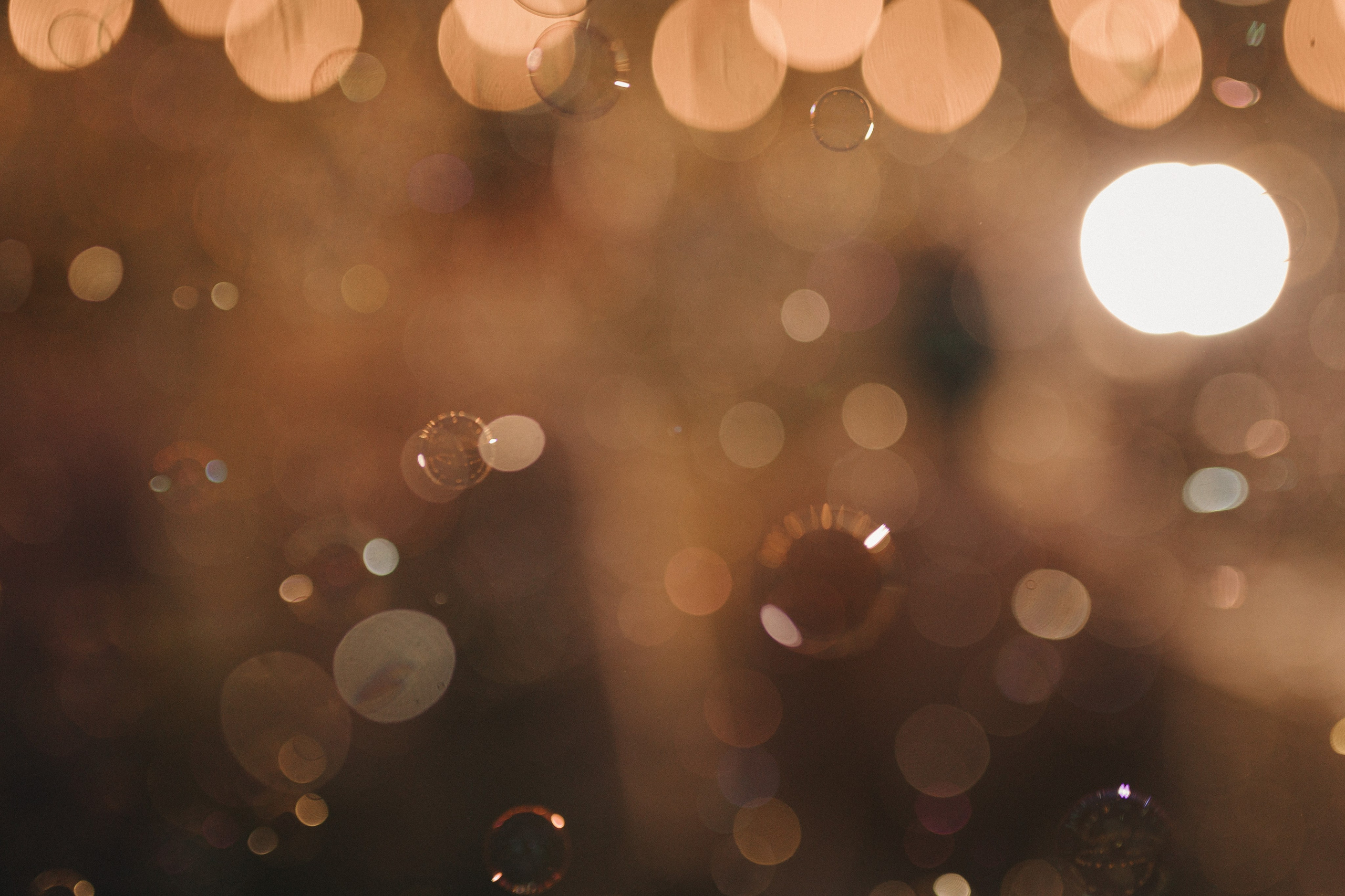 Екатерина и Илья. Свадебный и портретный фотограф в Калининграде и Москве Марк Юдинцев