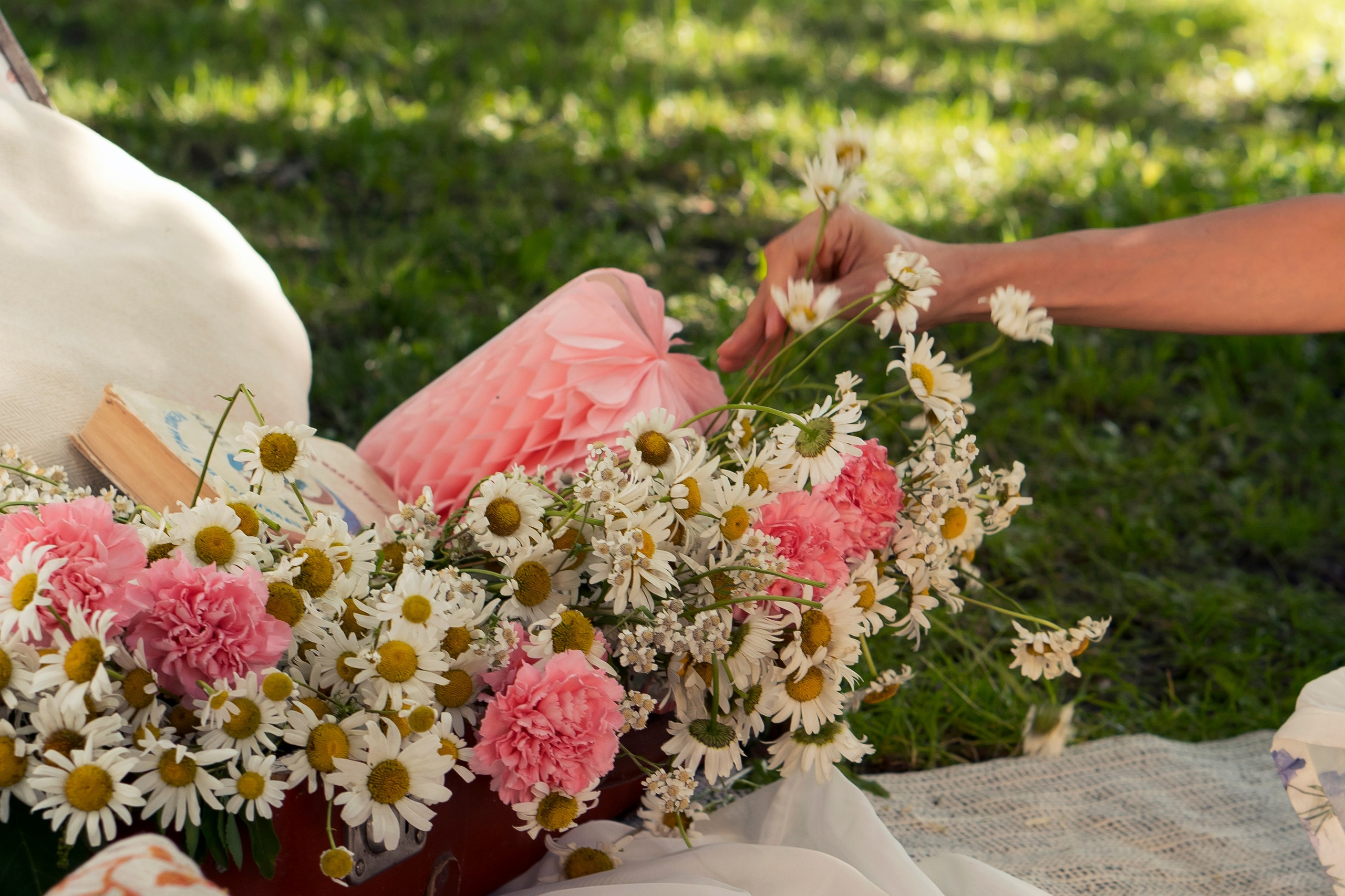 Елизавета. Портрет. Пикник. Главная