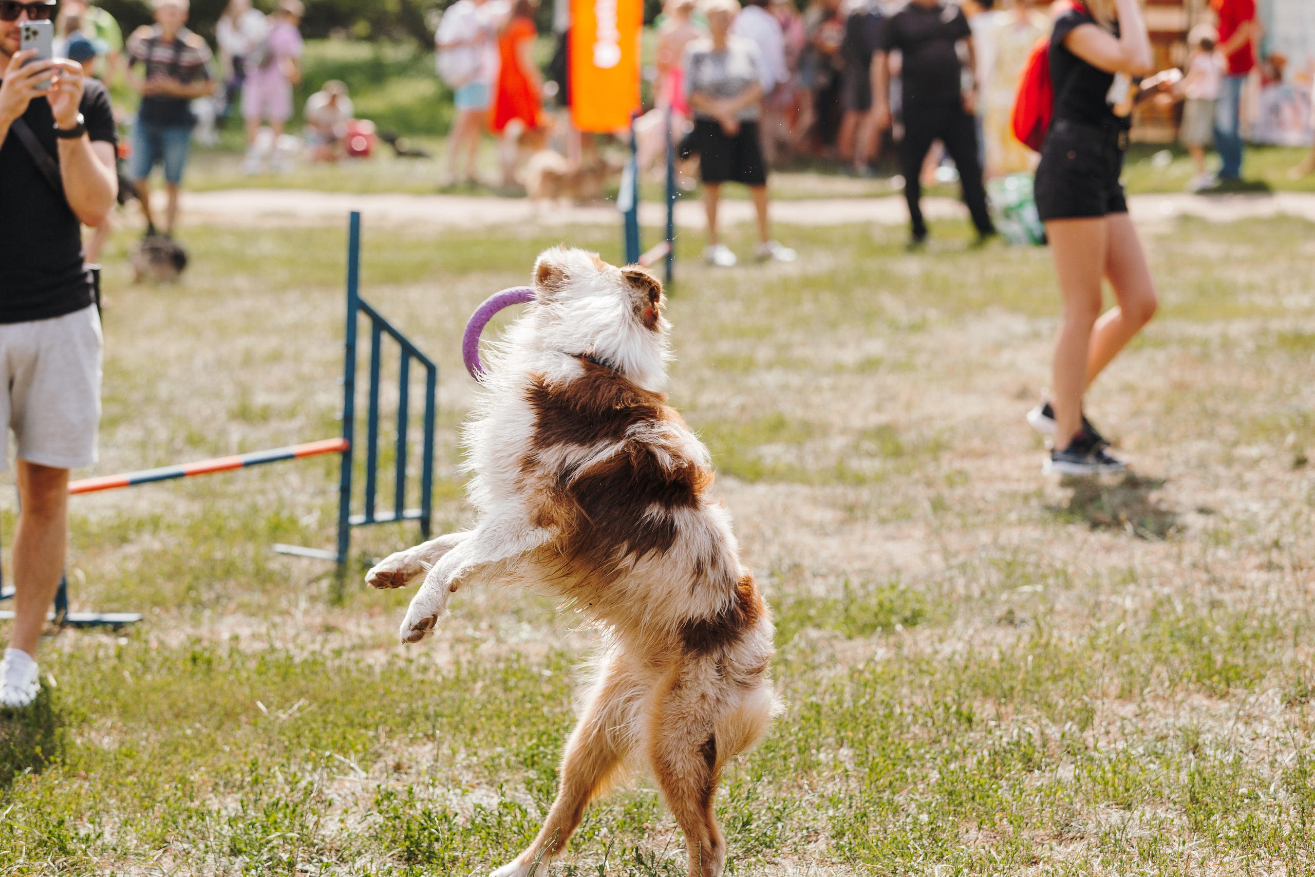 Petshop Sup day. Фотограф анималист Кристина Карпова, Москва