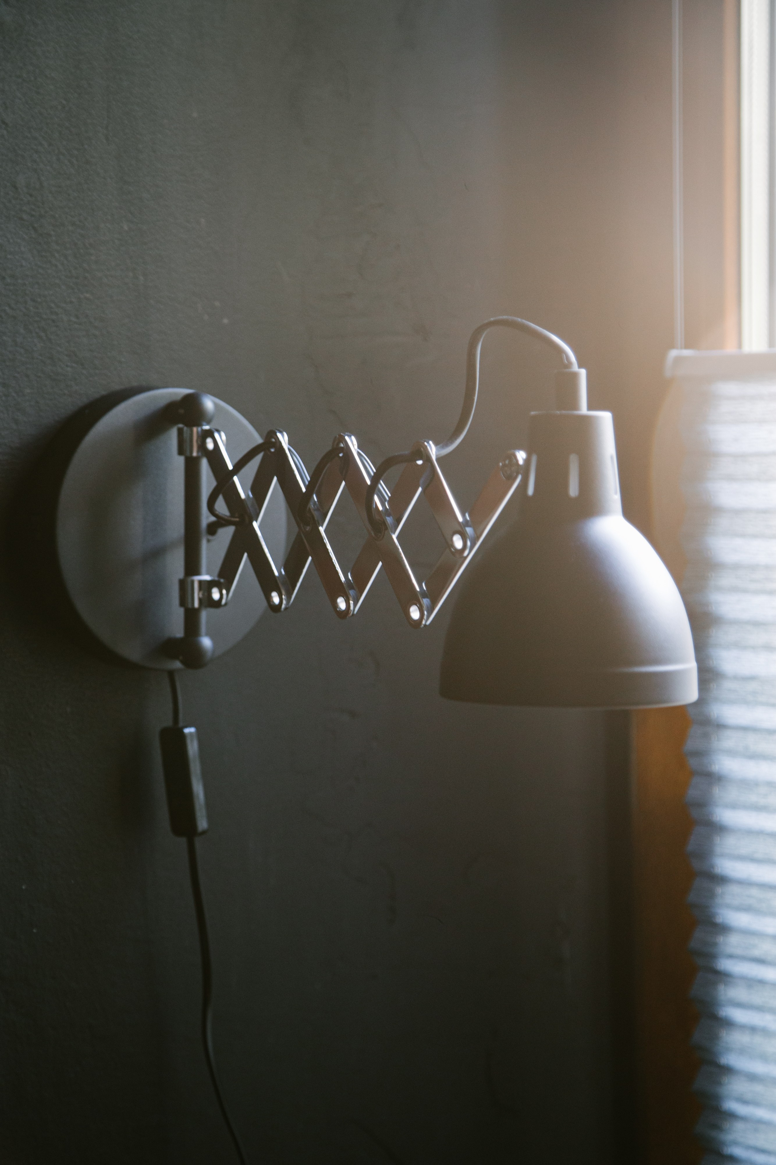 Кошкин дом. Фотограф Оля Батист