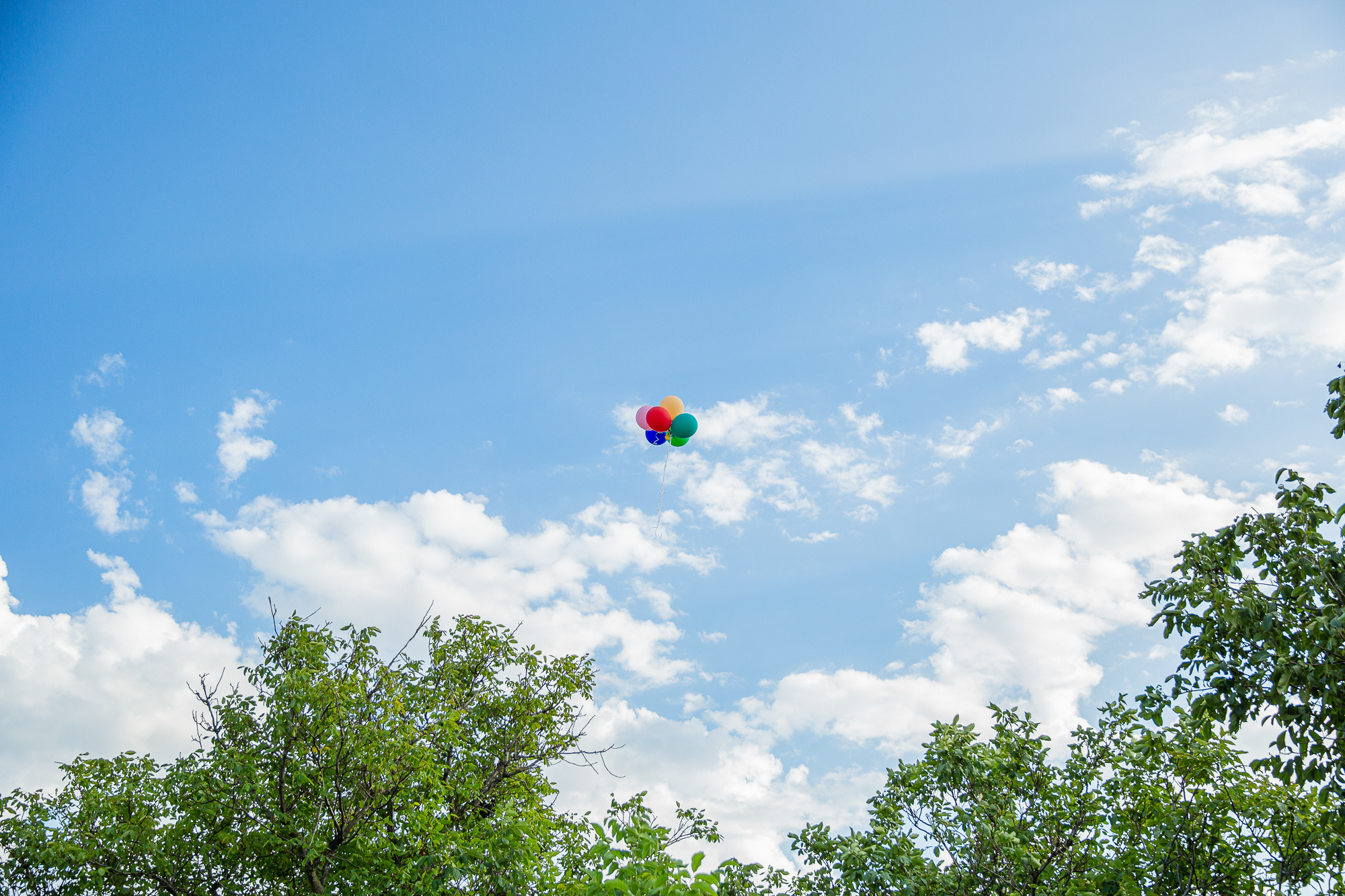 Семейная фотосессия в парке. Профессиональная фотосъёмка интерьеров, предметная фотосессия еды для меню г. Анапа