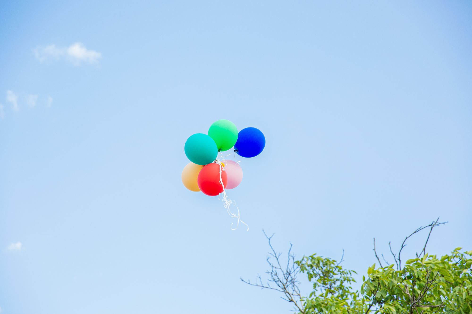 Семейная фотосессия в парке. Профессиональная фотосъёмка интерьеров, предметная фотосессия еды для меню г. Анапа
