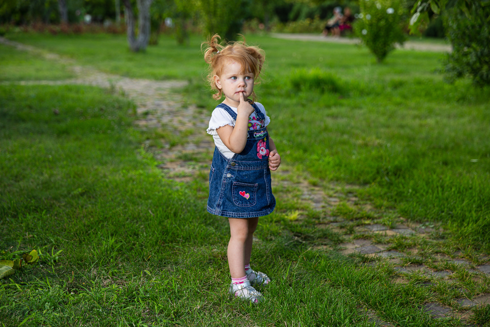 Семейная фотосессия в парке. Профессиональная фотосъёмка интерьеров, предметная фотосессия еды для меню г. Анапа