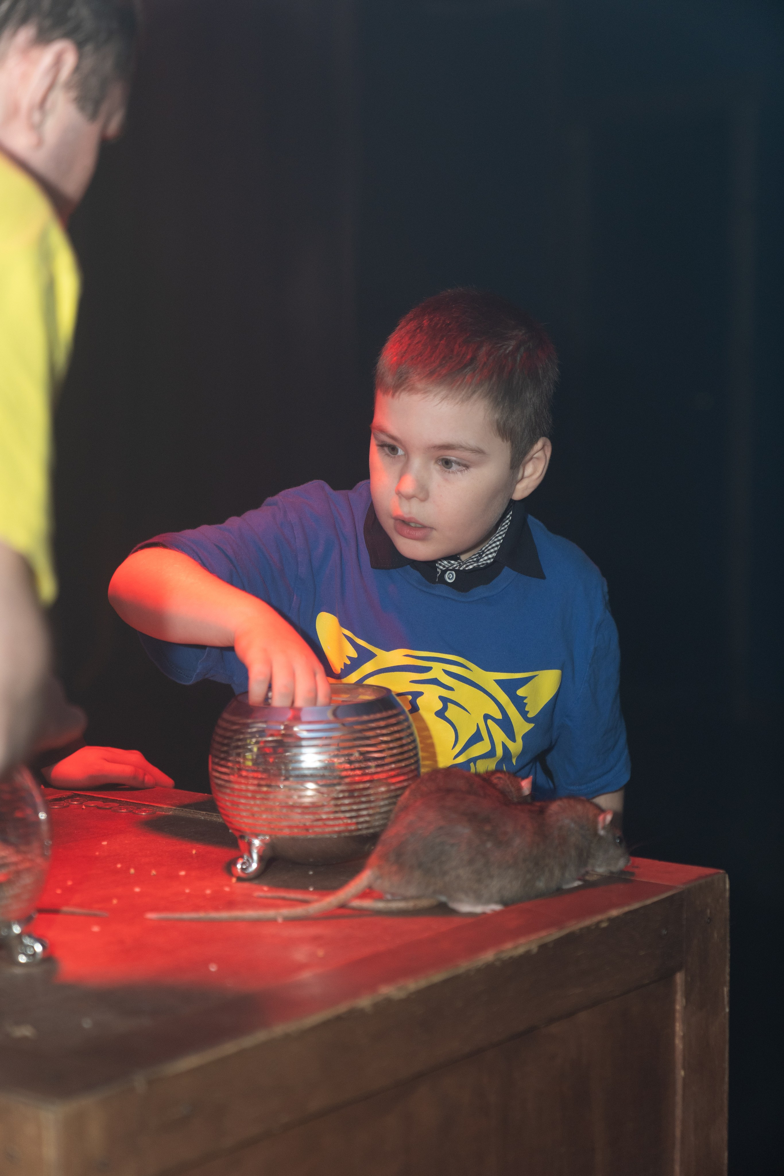 Детский ДР. Семейный и детский фотограф в Сергиев Посаде, Хотьково Якимчук Любовь
