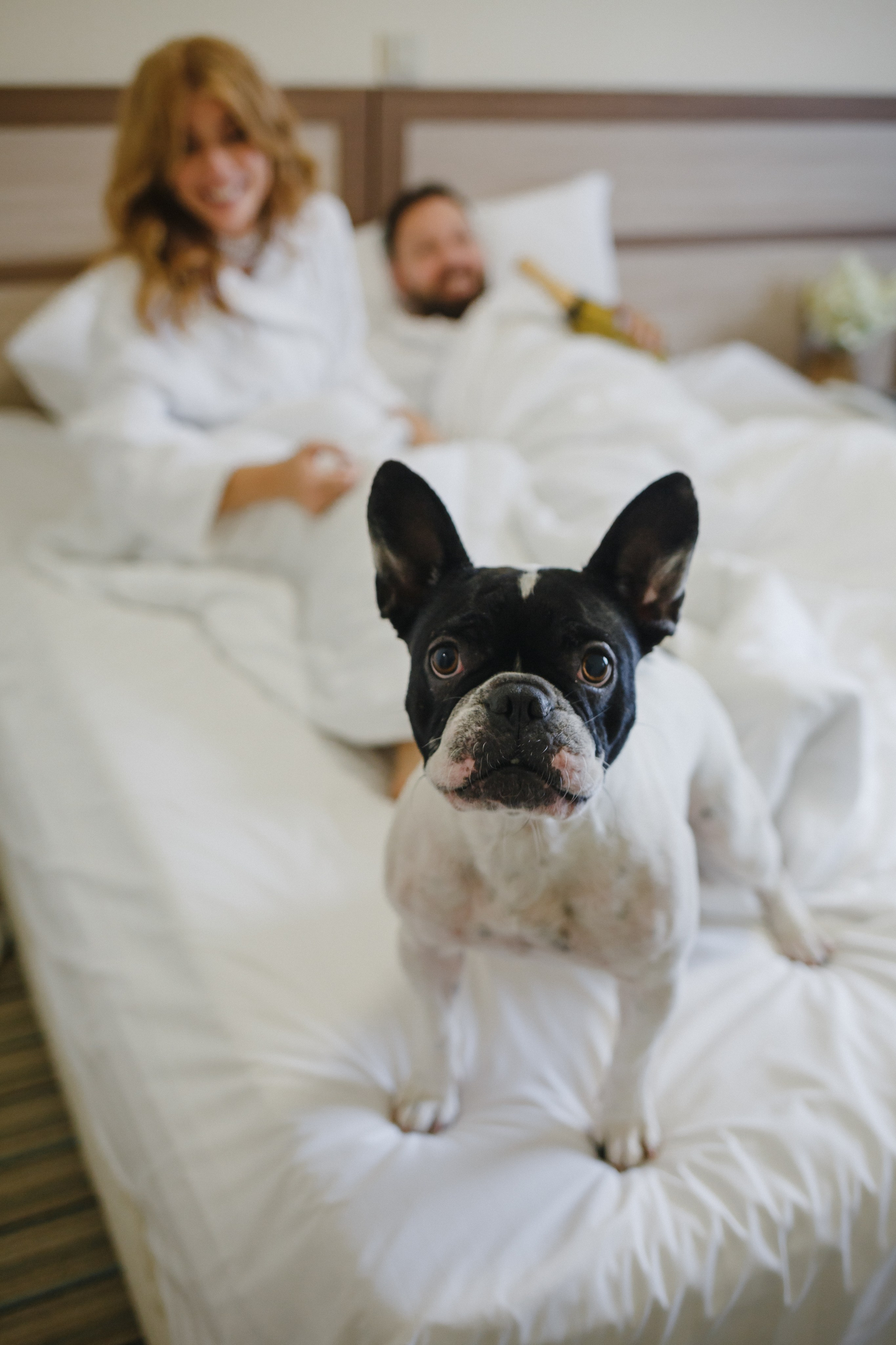 Максим и Светлана. Семейный фотограф Николаева Ольга