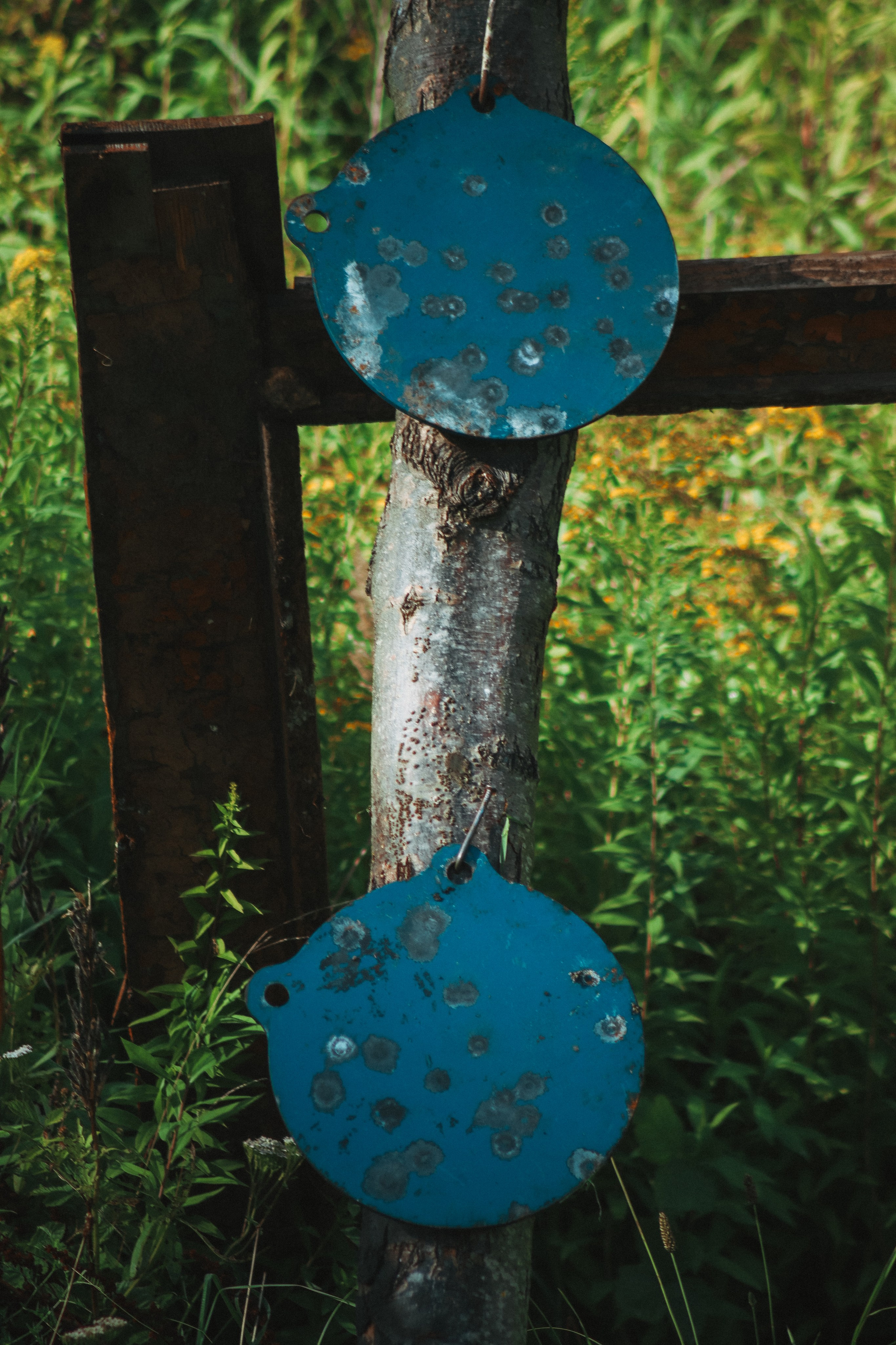 Никита П. (Полигон). — Digital Noise —