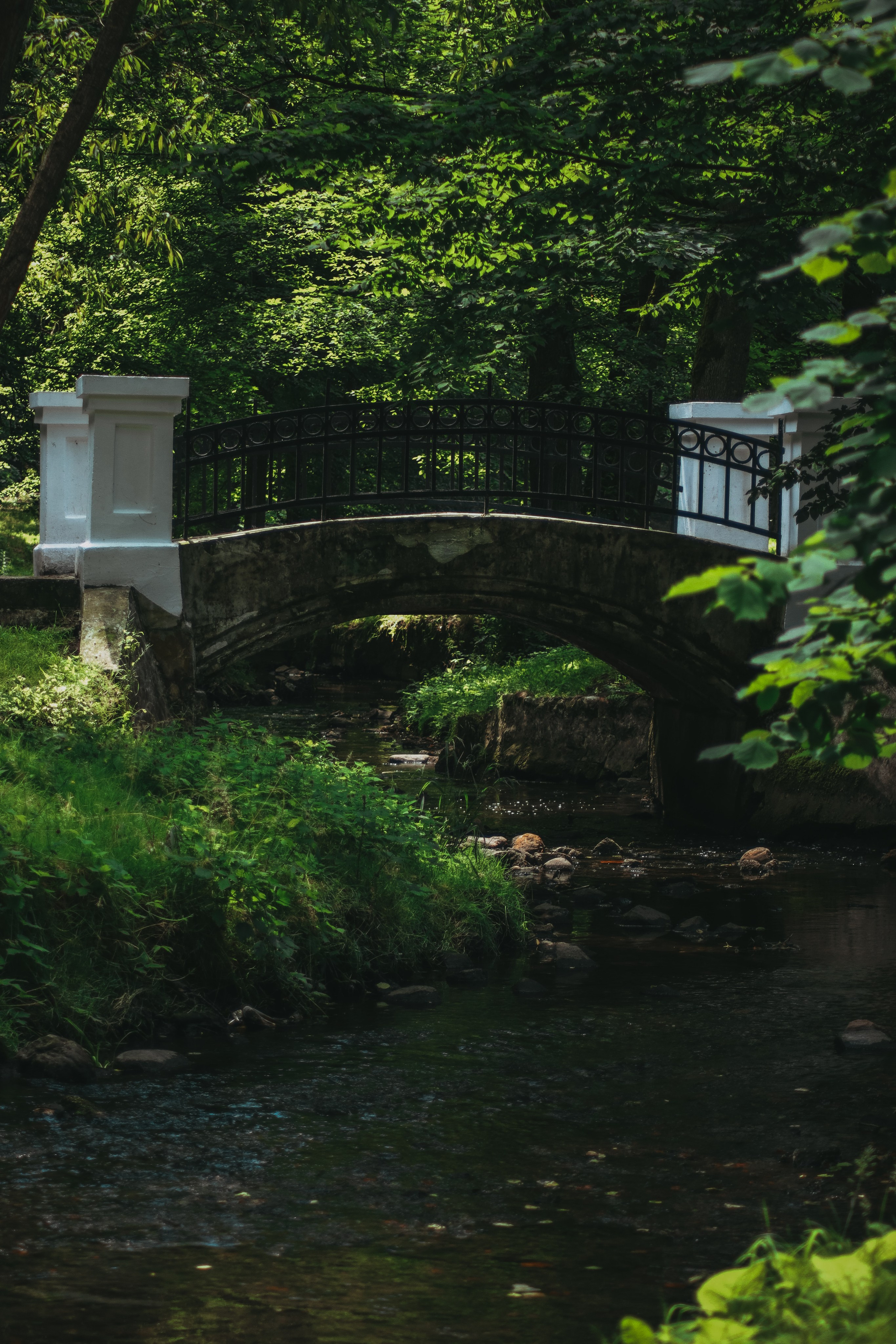 Т Е П Л Ы Й — З Е Л Е Н Ы Й. — Digital Noise —