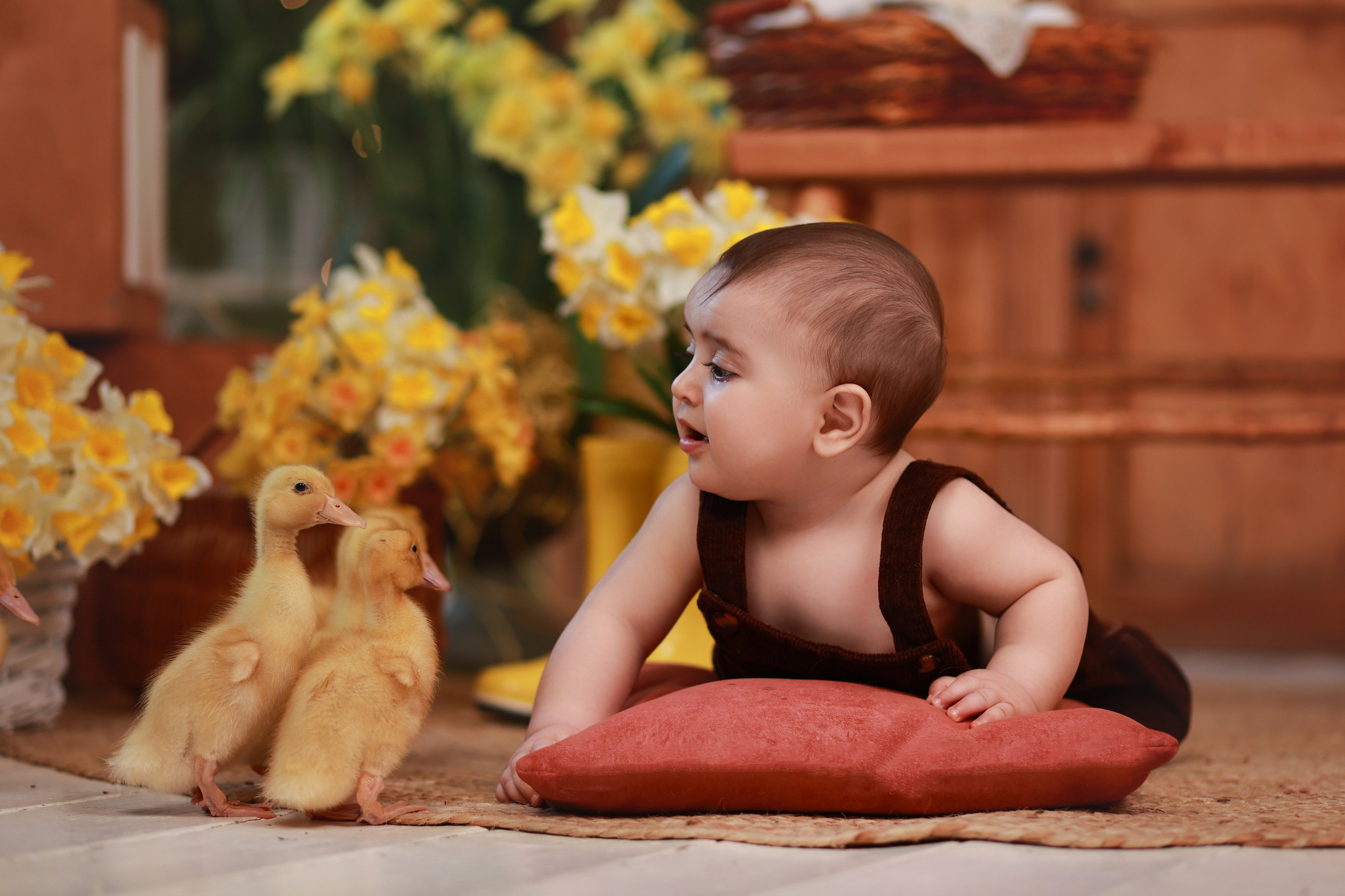 «Светлая Пасха» с утятами. Детский семейный фотограф Краснодар