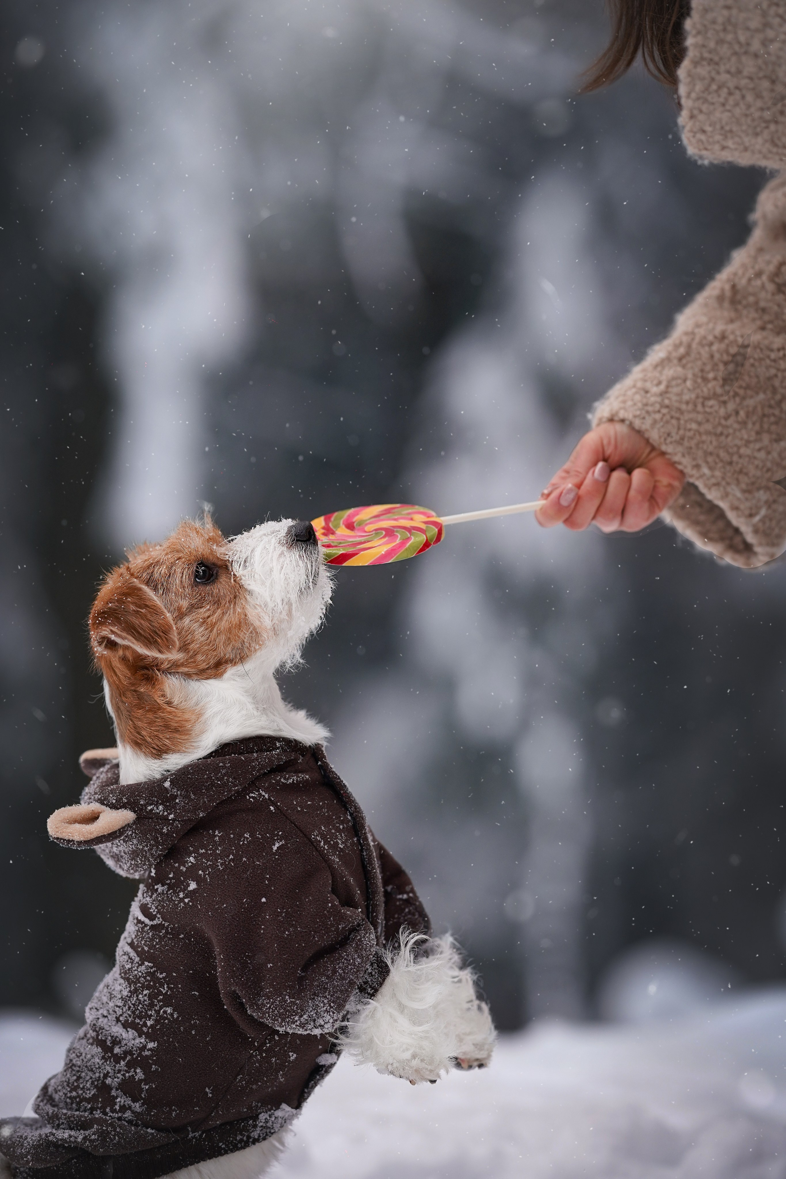 Люба и Тося. Фотограф-анималист в Санкт-Петербурге Яна Мартынова