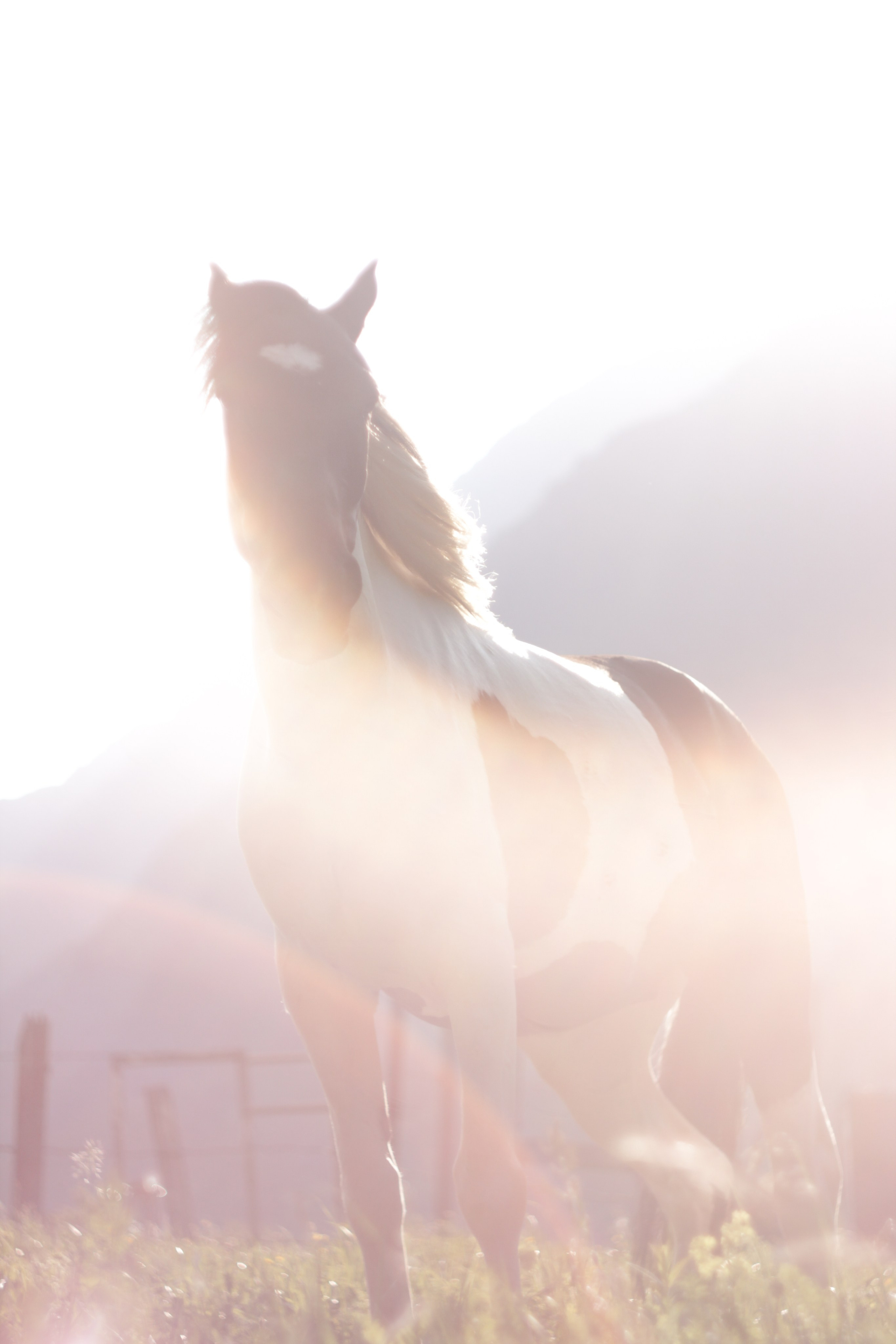 Природа. Фотограф Котий Даниил