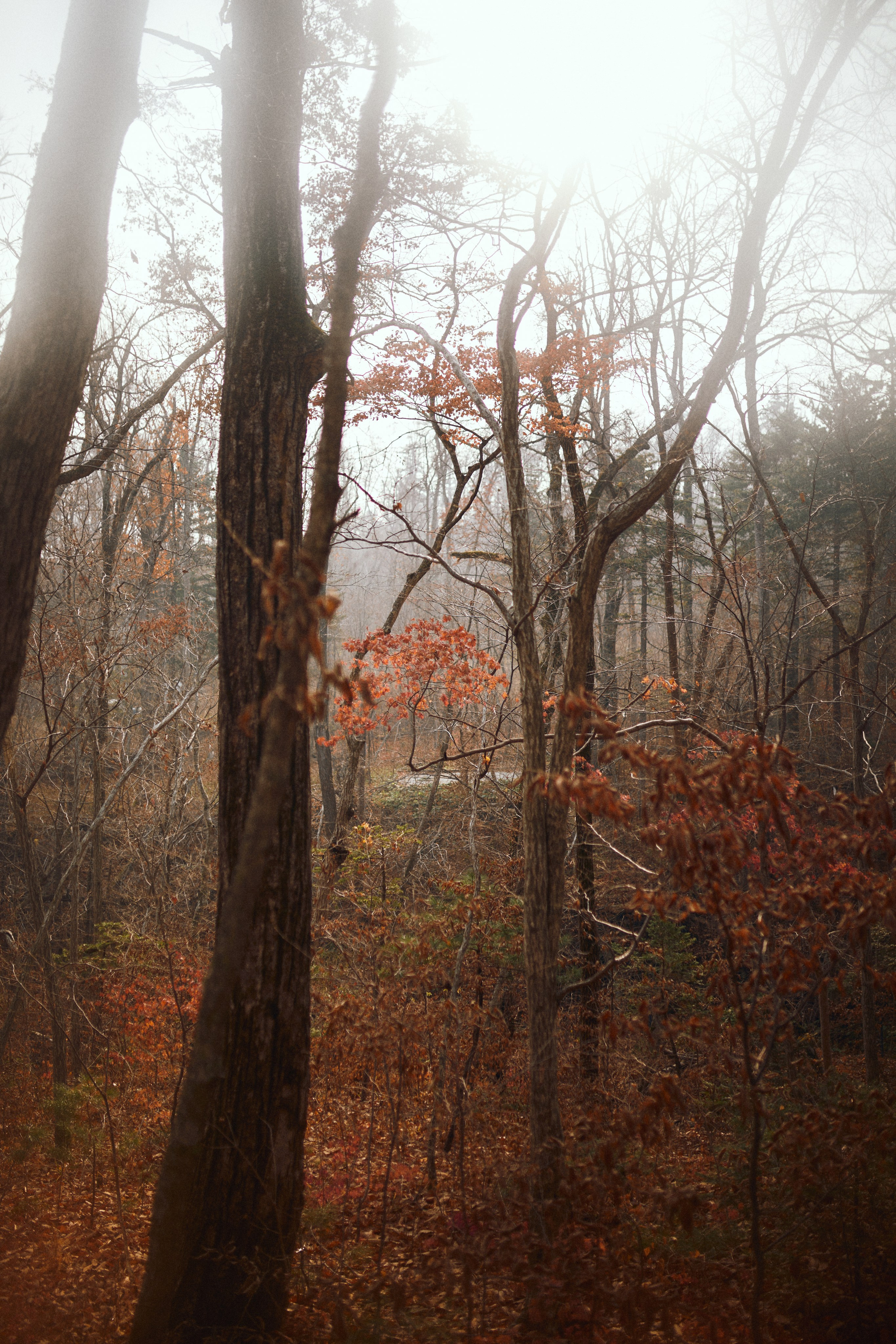 Духи. Фотограф Ионова Анастасия, г Владивосток