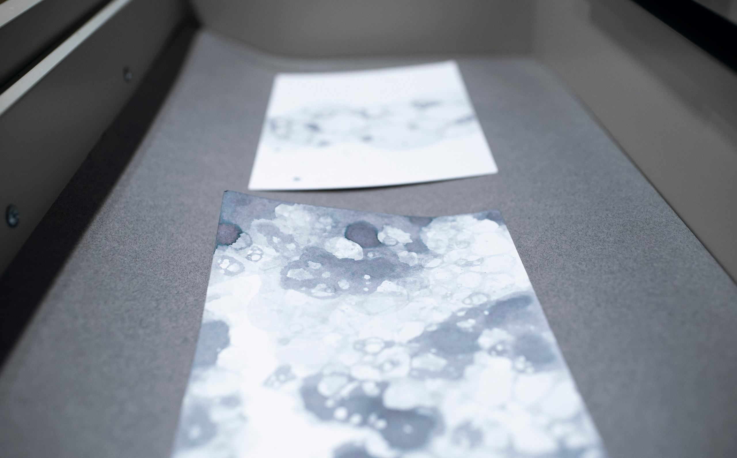 Выставка в доме Третьяковых. Фотограф в Москве Алейникова Евгения