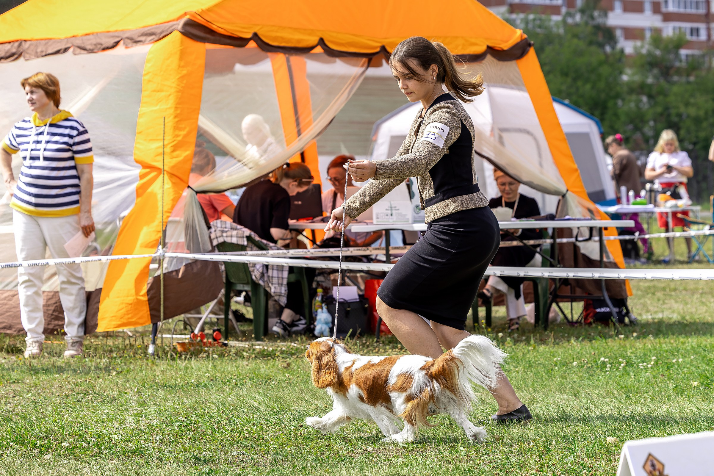 2–3 августа 2025, Выставка РКФ, г. Пермь. Htykk_photo