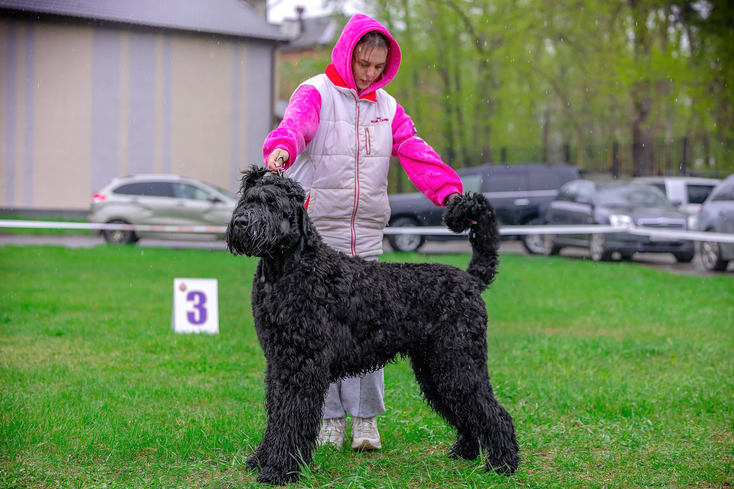 11 мая 2025, Выставка РКФ, г. Пермь. Htykk_photo