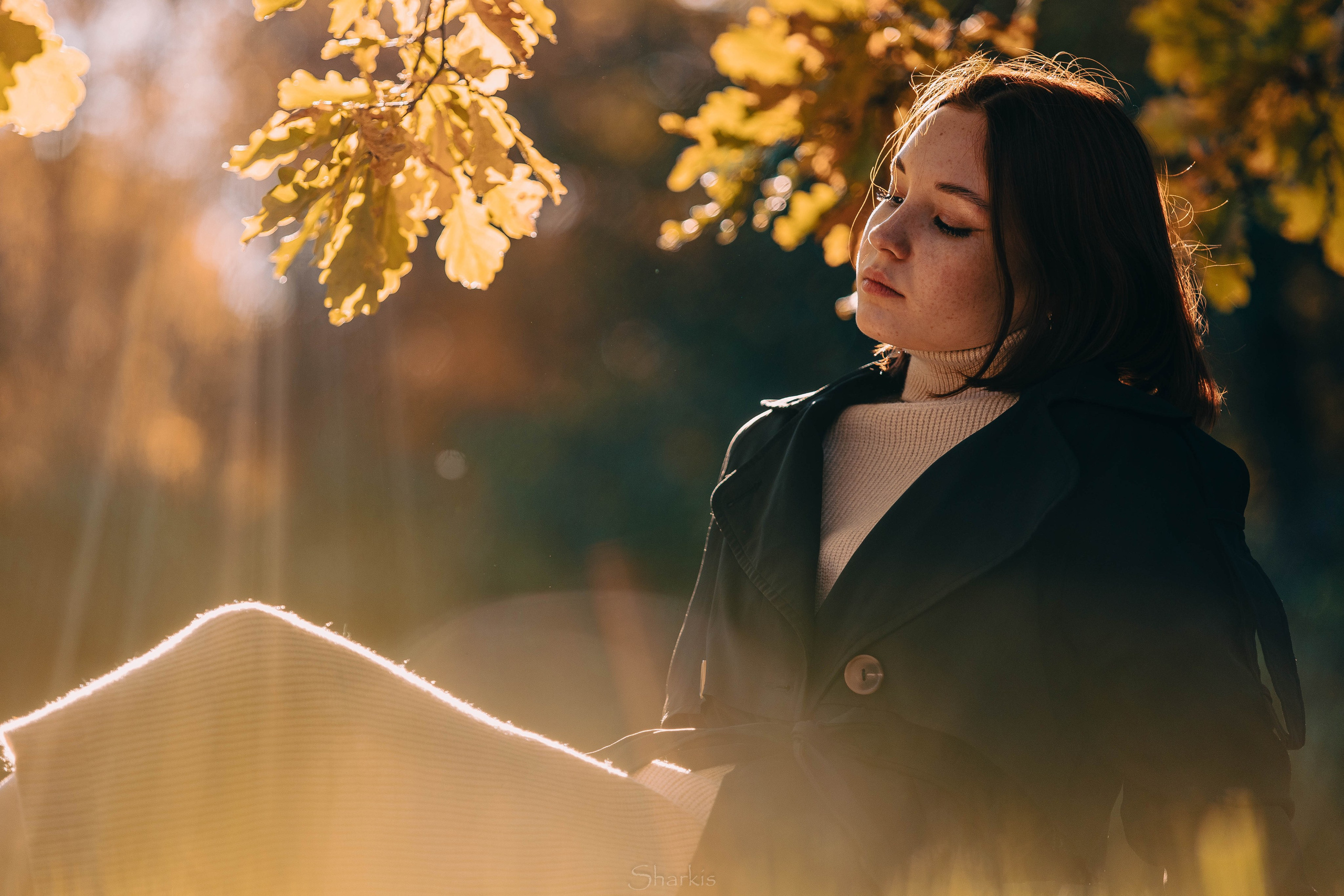 Света. Главная