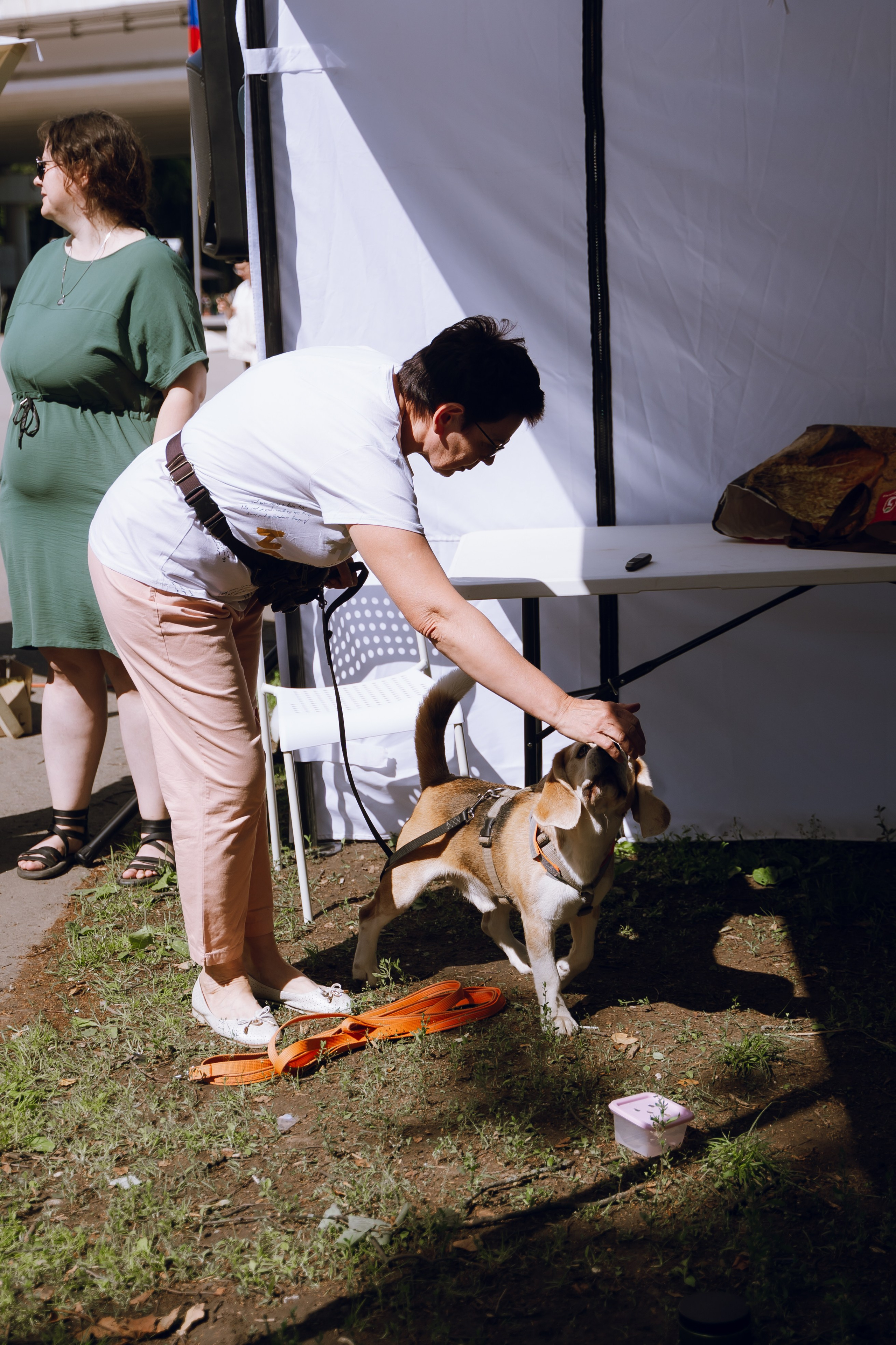 Площадка фестиваля «Мампус и его друзья» в Лесопарке 2025. Фотограф Надежда Погребняк | Рязань | Москва