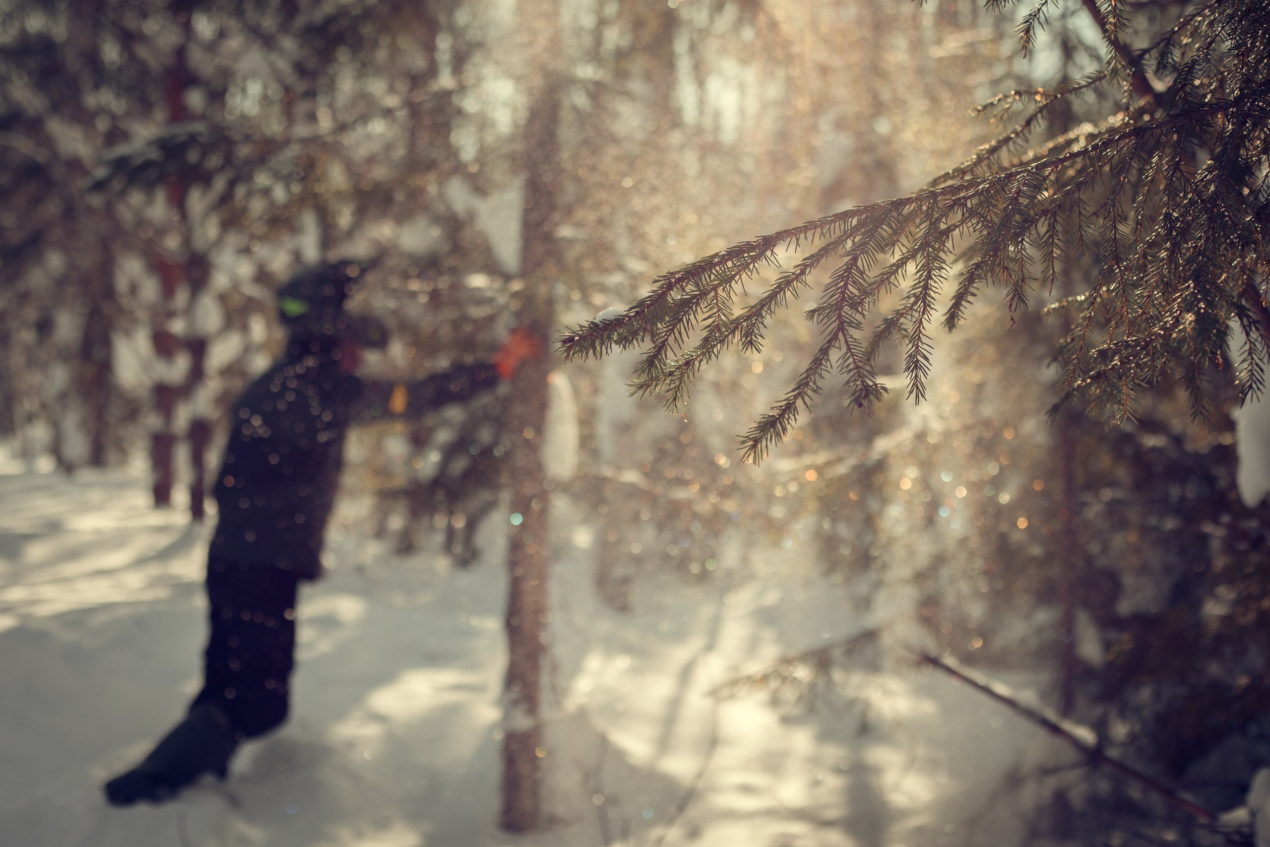 Егор. Семейный и детский фотограф в Перми Юдинцева Юлия