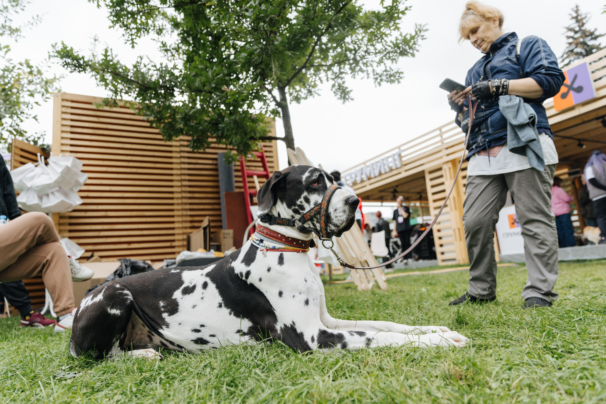 Хвостатый репортаж. Аксана Лисовская фотограф в Москве. Фотографии с характером