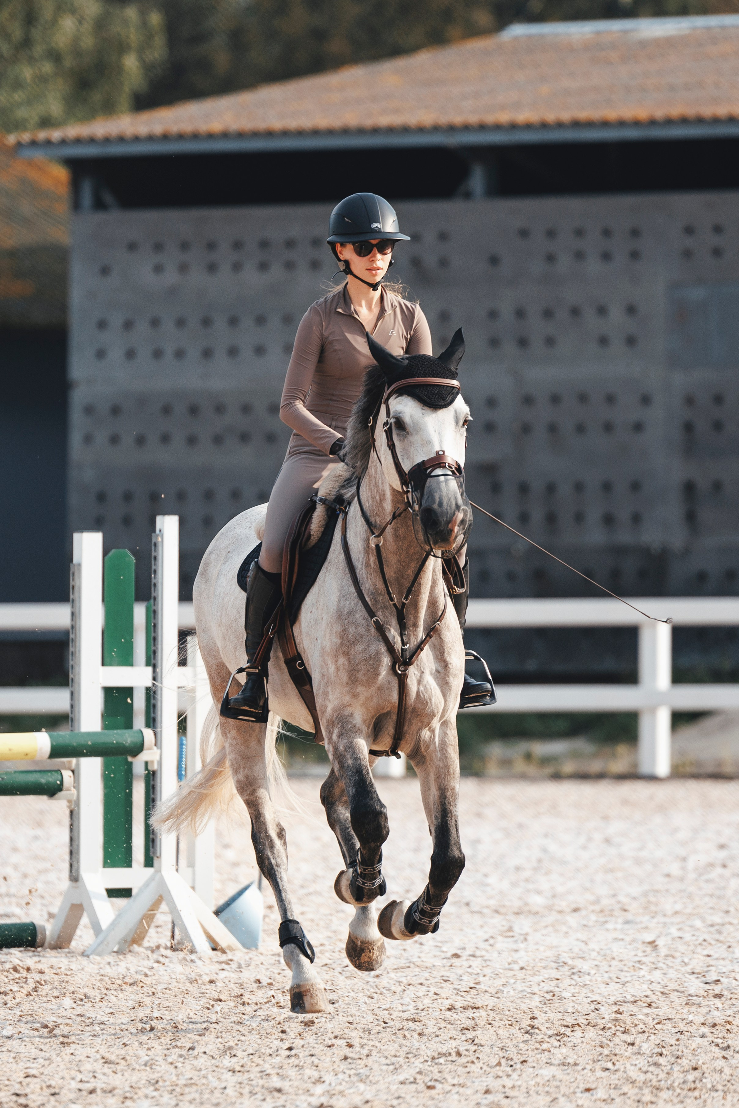 Конкур. Фотограф-анималист Анна Маринич