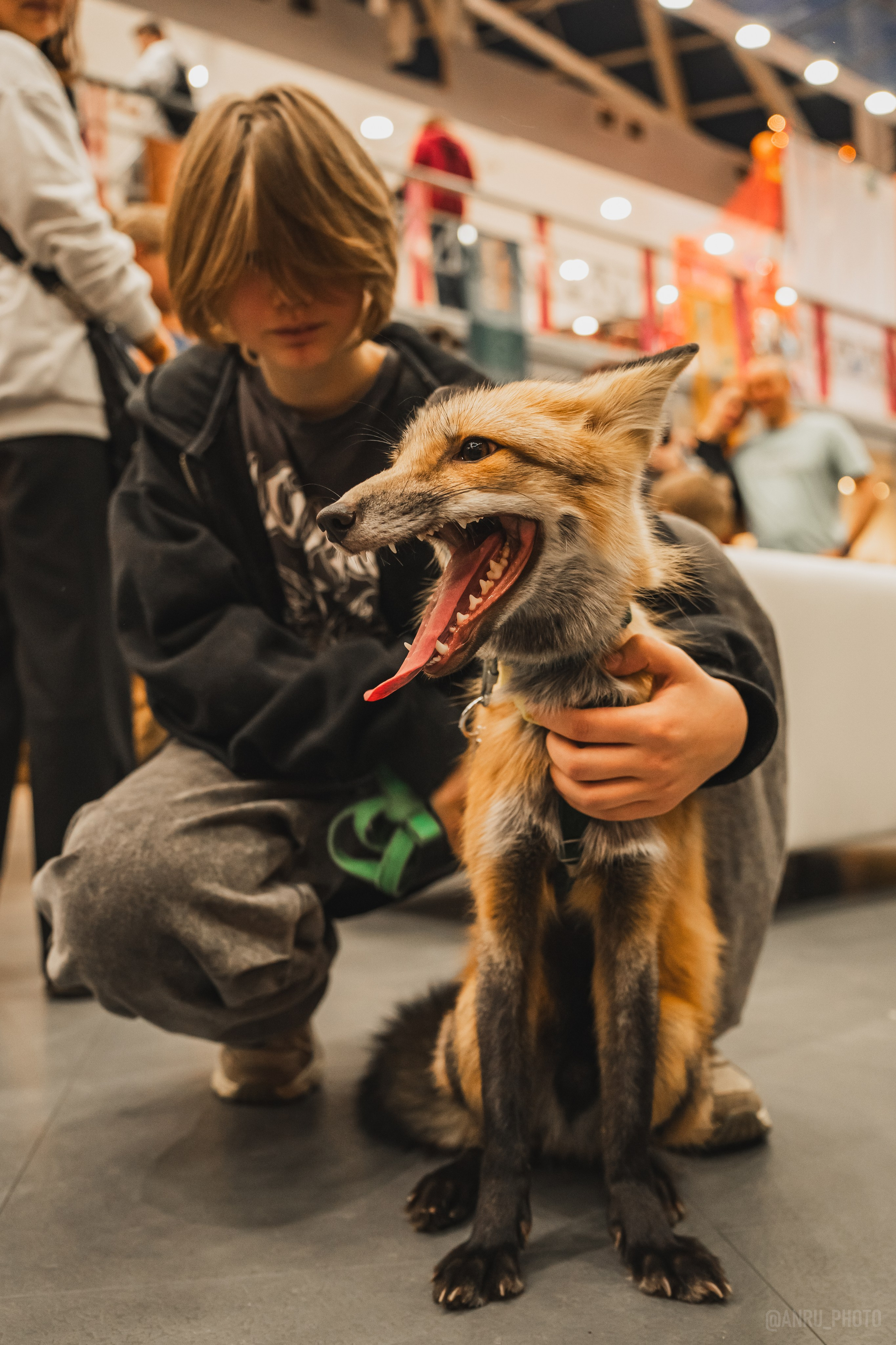 Fox Family fest. Репортажный фотограф Анастасия Рубцова
