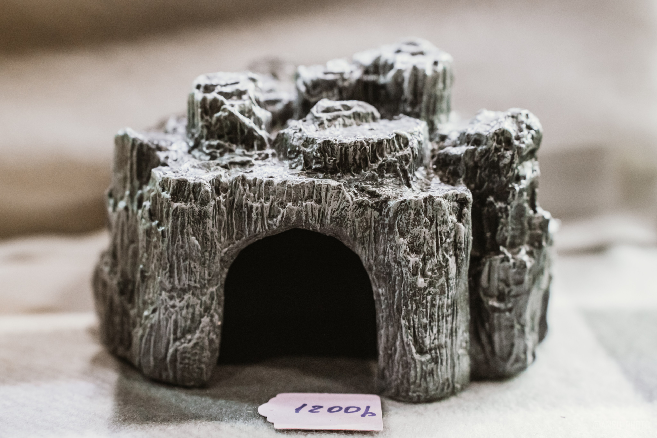 Рептилиум (ручная работа). Репортажный фотограф Анастасия Рубцова