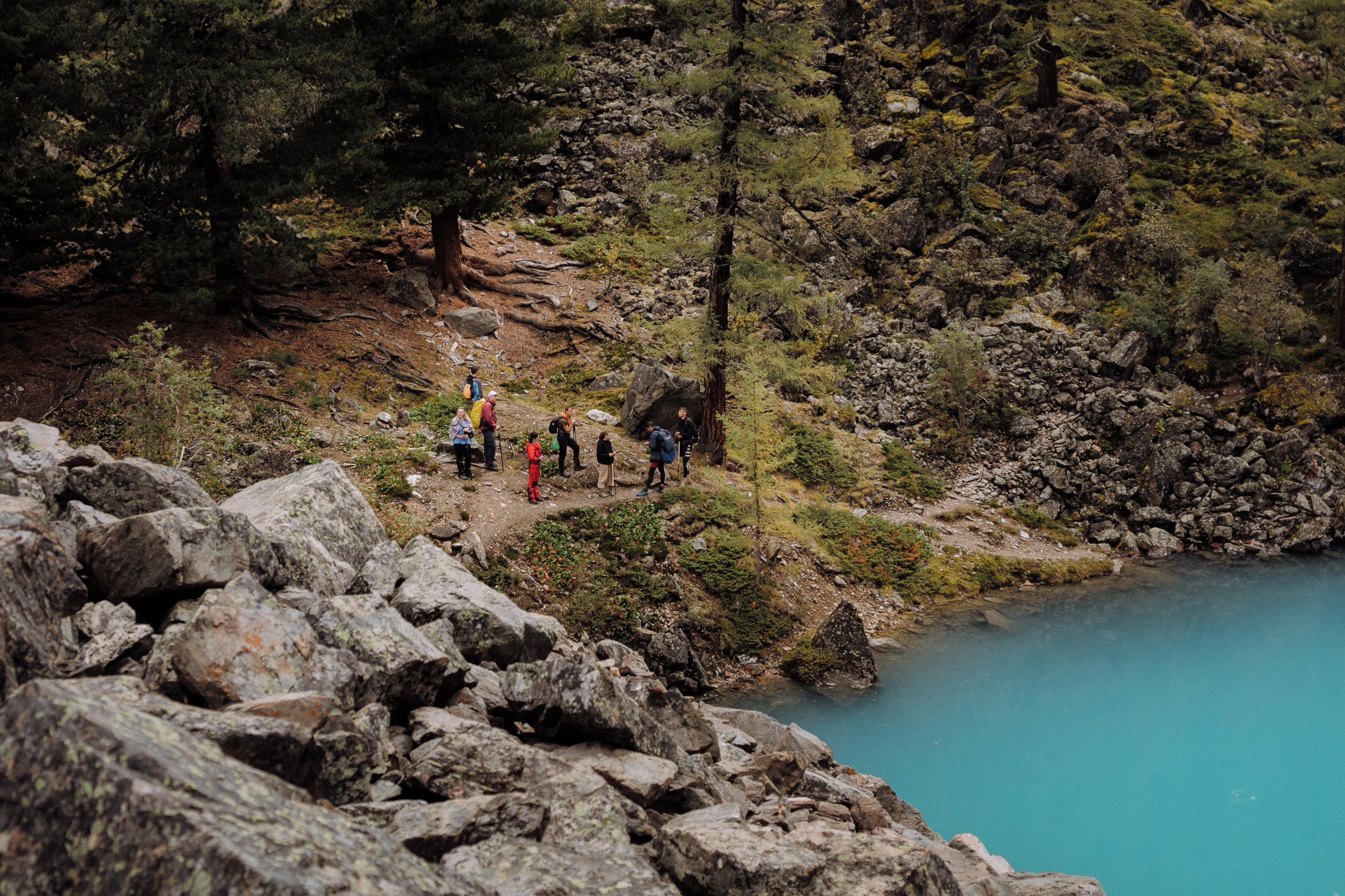 Шавлинские. Главная