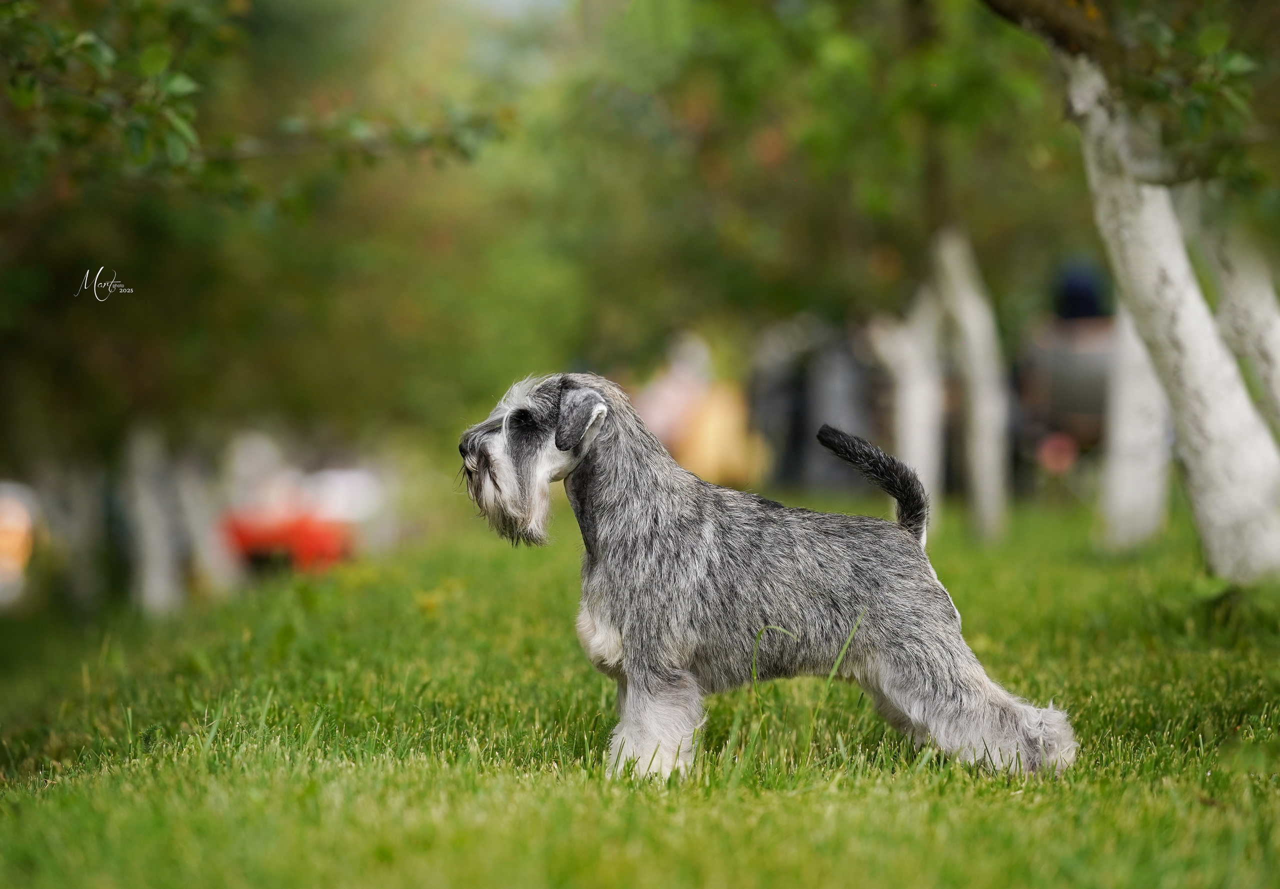 Выставки 2025. Фотограф-анималист в Санкт-Петербурге Яна Мартынова